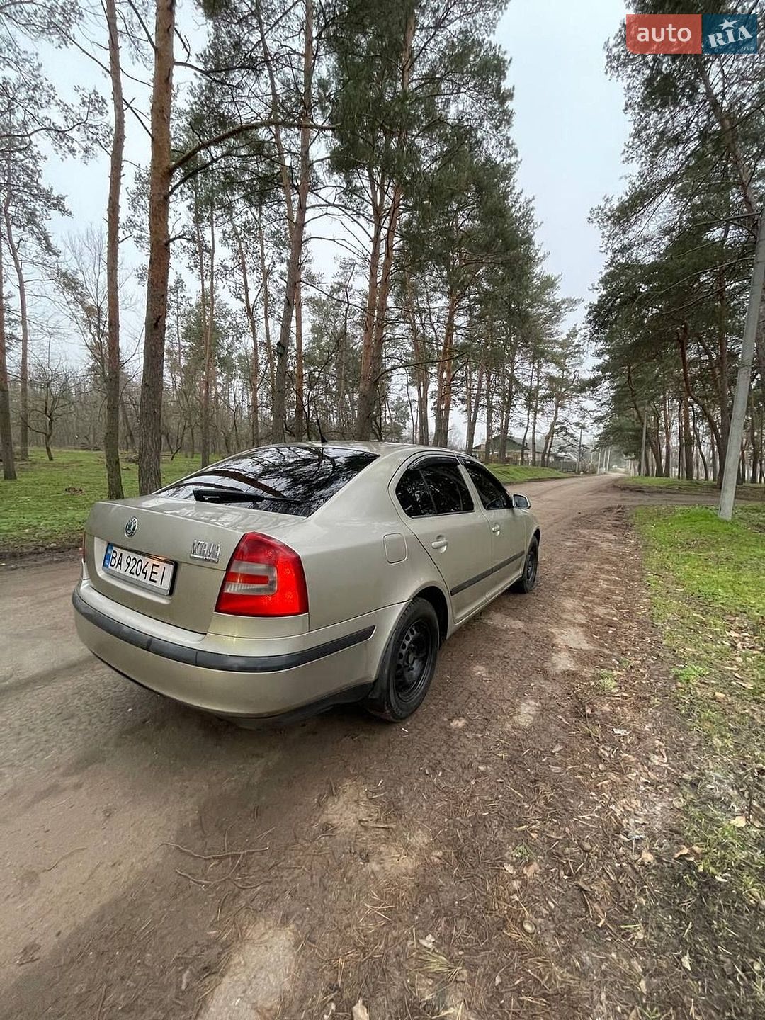 Skoda Superb 2004 VIN TMBCA21ZX58021482 фото оголошення 5 з 14