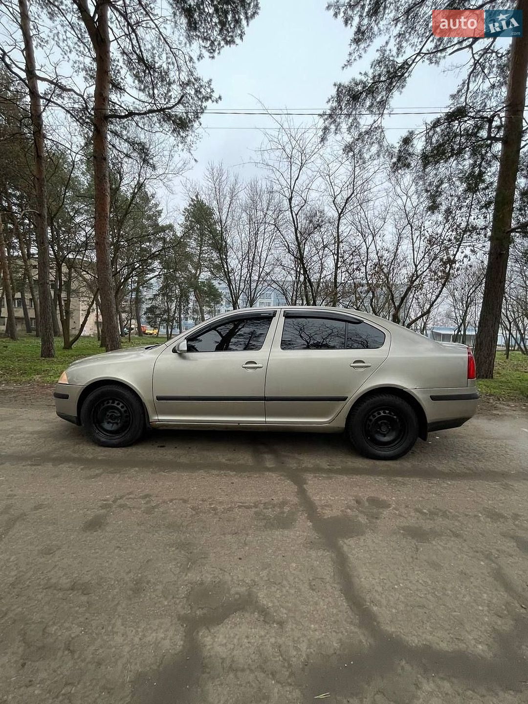 Skoda Superb 2004 VIN TMBCA21ZX58021482 фото оголошення 10 з 14