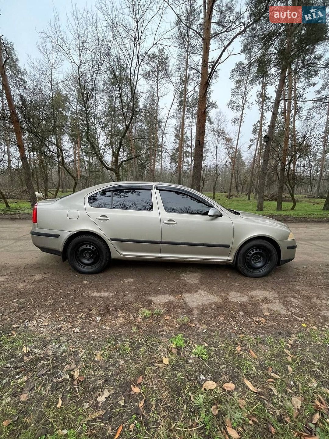Skoda Superb 2004 VIN TMBCA21ZX58021482 фото оголошення 12 з 14