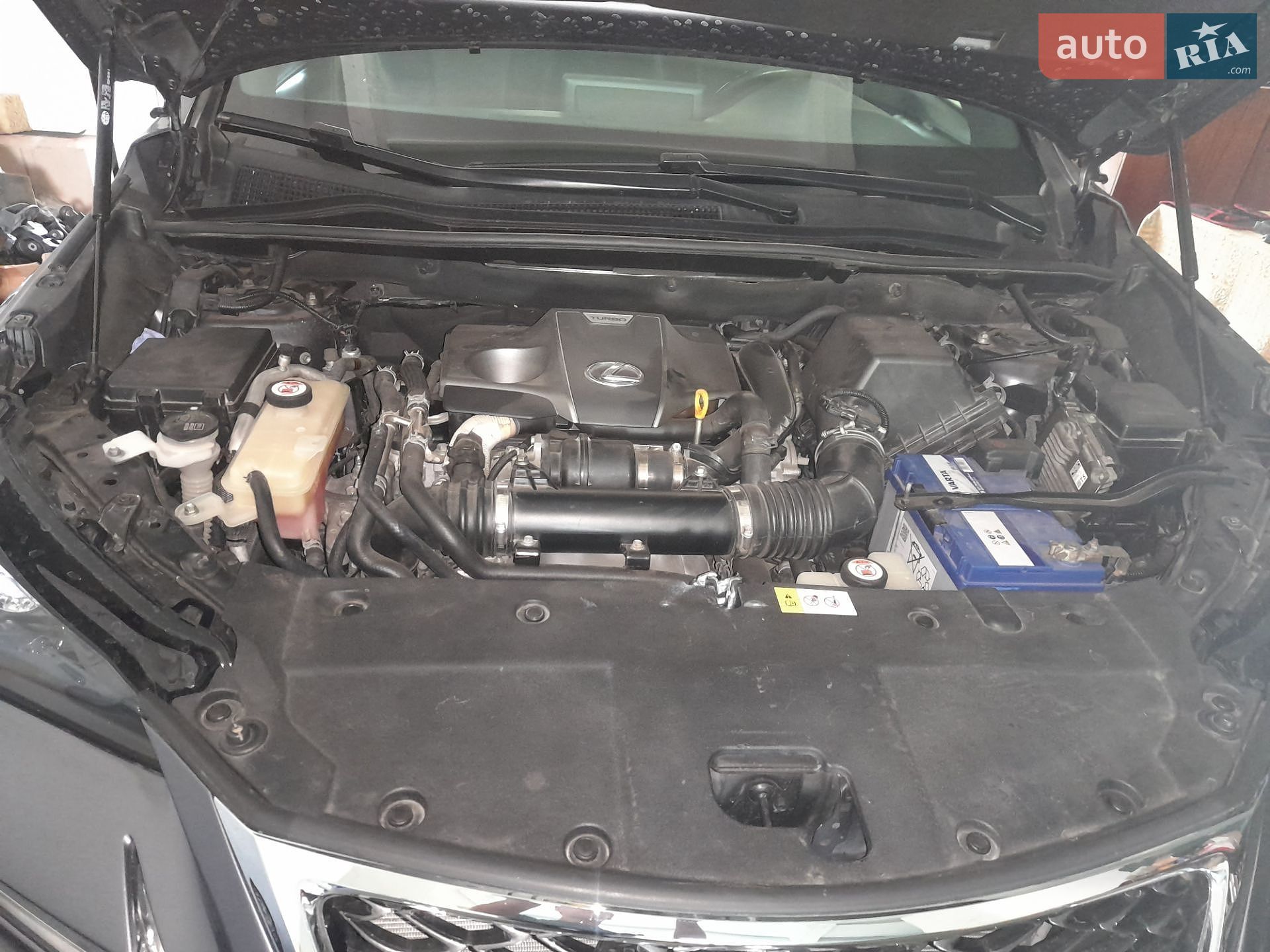 Lexus NX 2017 VIN JTJYARBZ8H2070505 фото оголошення 27 з 49