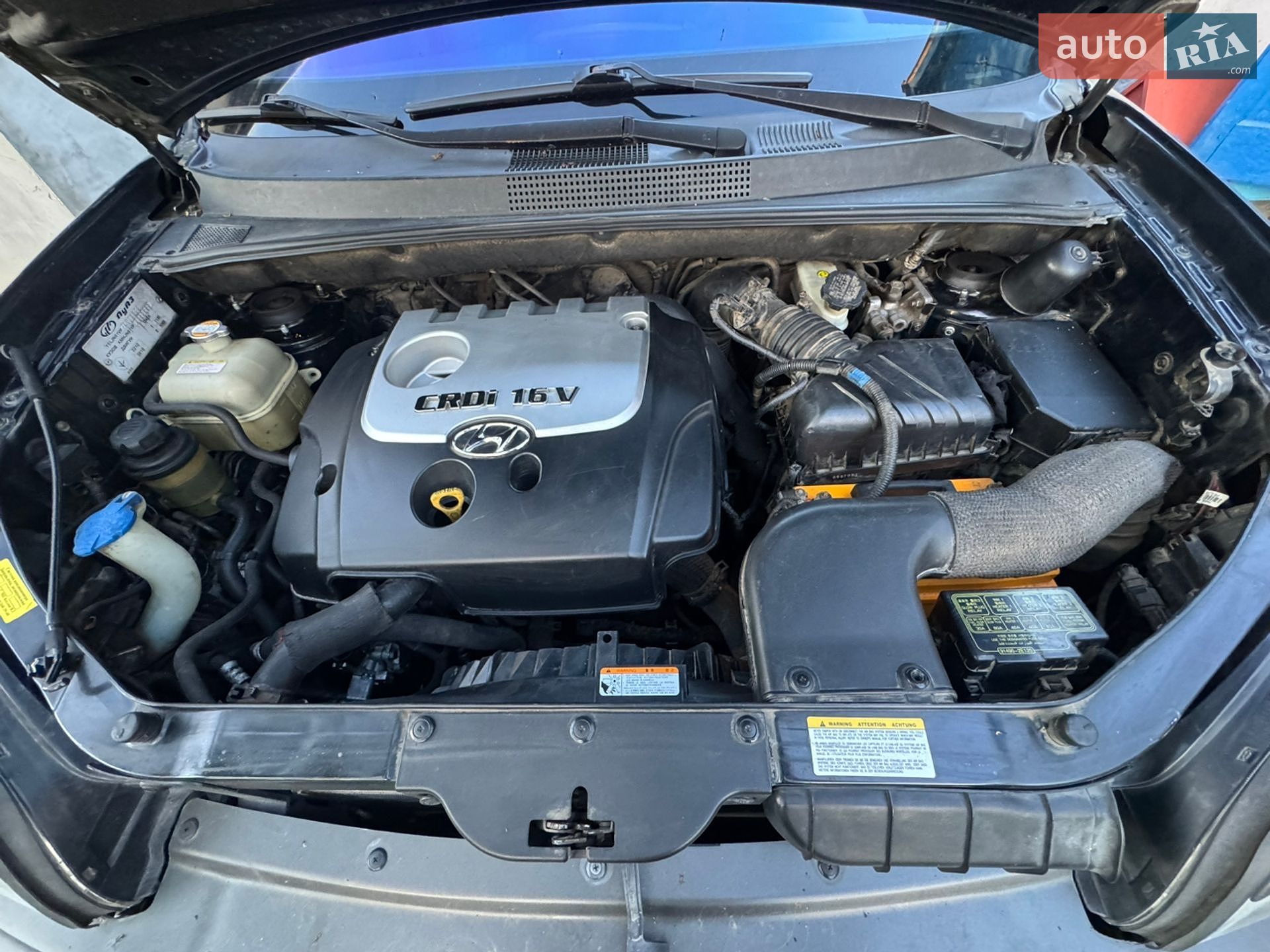 Hyundai Tucson 2006 VIN Y6LJN81VP7L001904 фото оголошення 13 з 13