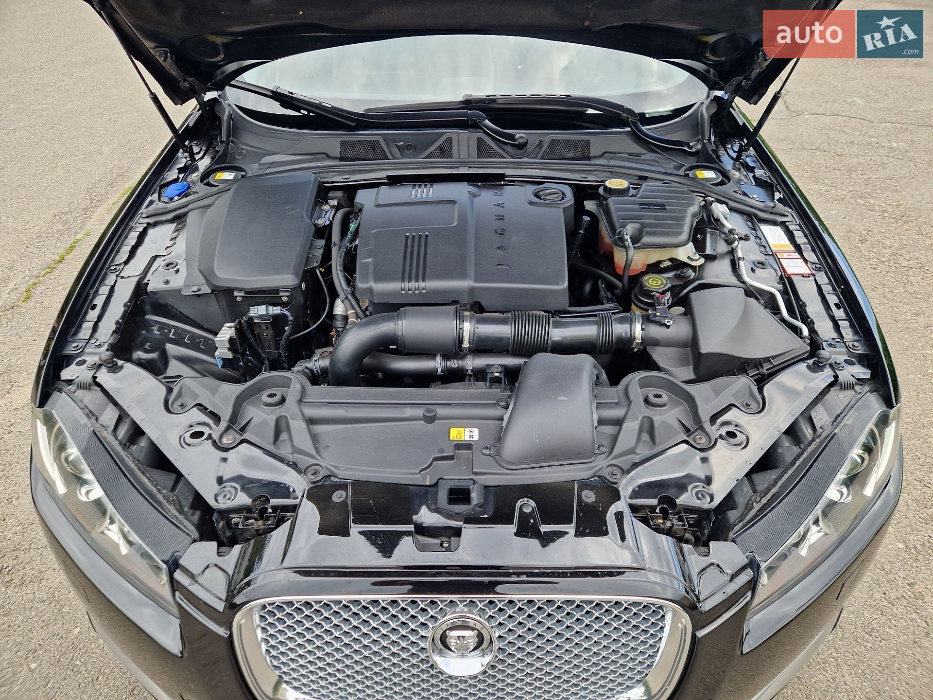 Jaguar XF 2012 VIN SAJAA0469CDS44258 фото оголошення 30 з 39