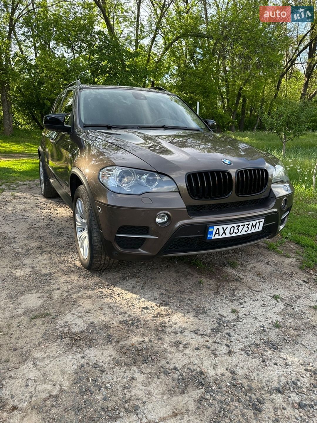BMW X5 2010 VIN WBAZW61040LU98769 фото оголошення 6 з 44