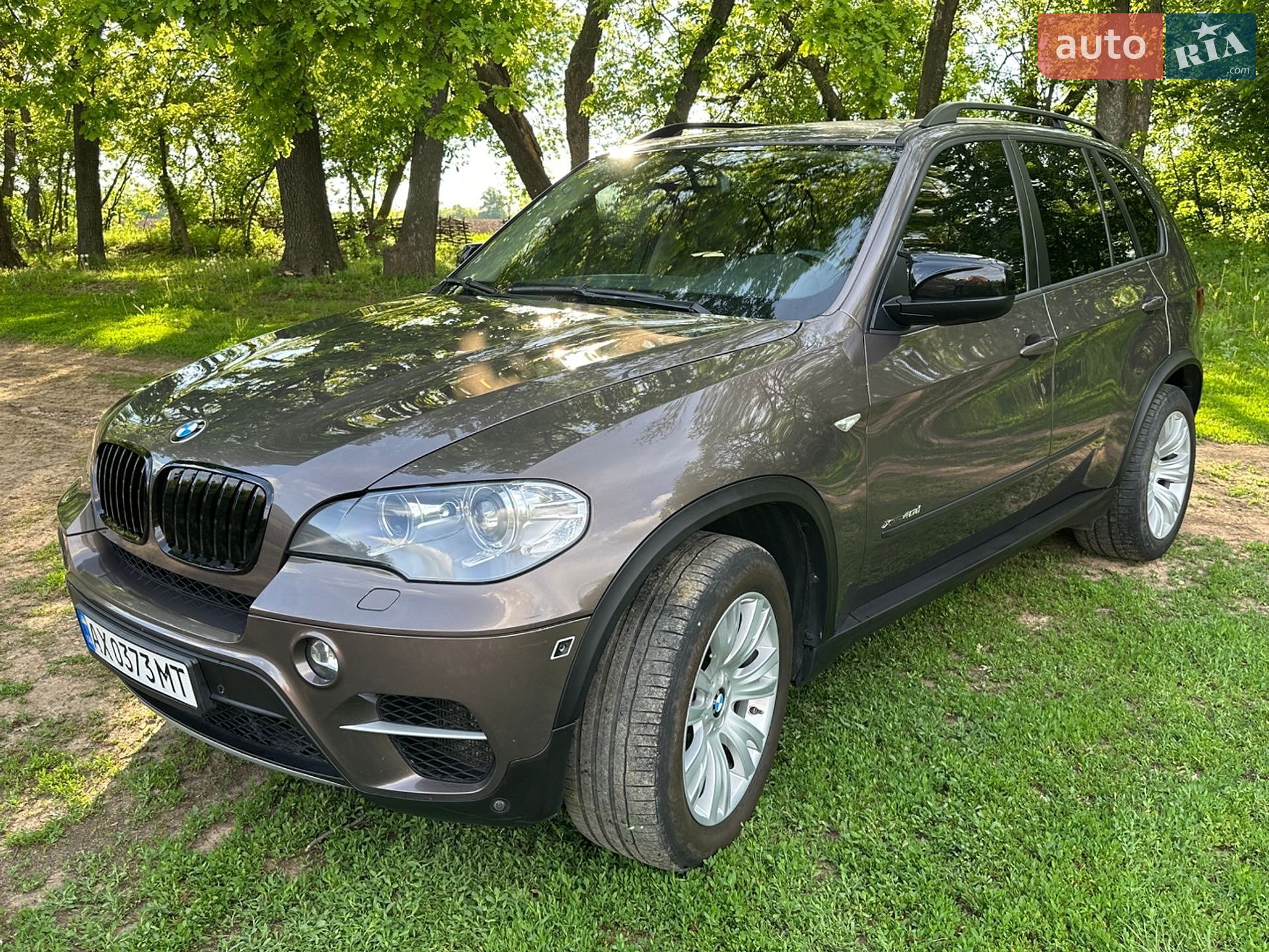 BMW X5 2010 VIN WBAZW61040LU98769 фото оголошення 11 з 44
