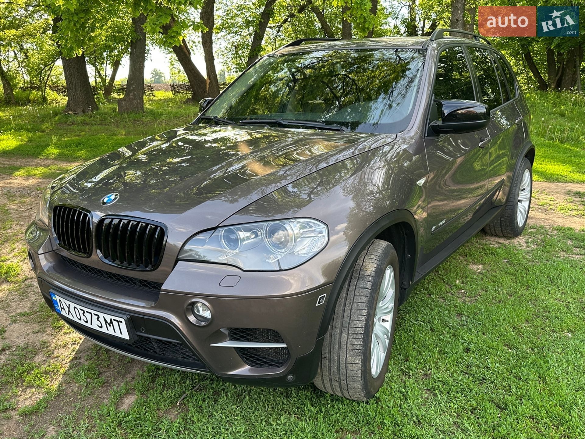 BMW X5 2010 VIN WBAZW61040LU98769 фото оголошення 12 з 44
