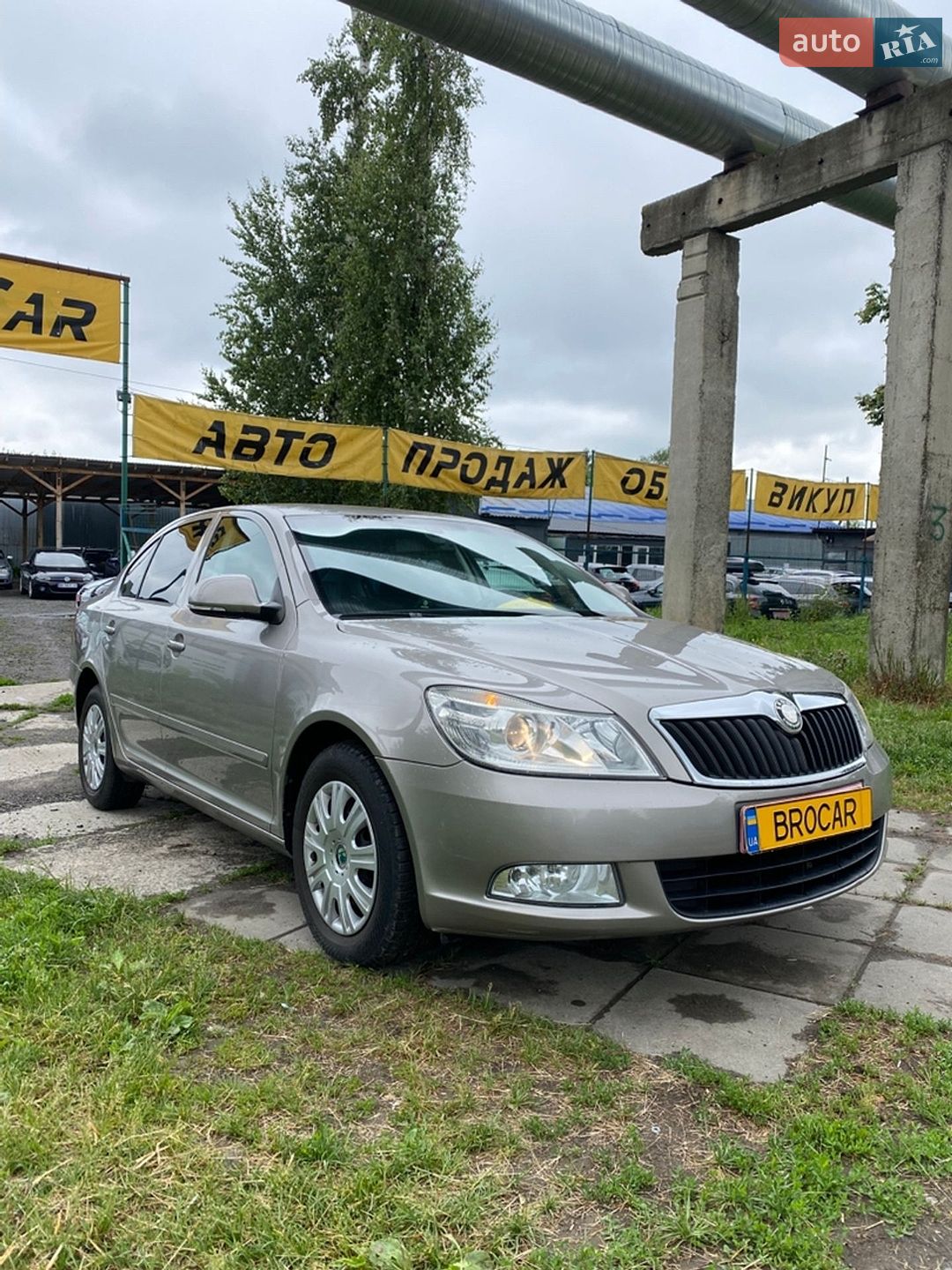 Skoda Octavia 2009 VIN TMBCJ61Z092037089 фото оголошення 8 з 18