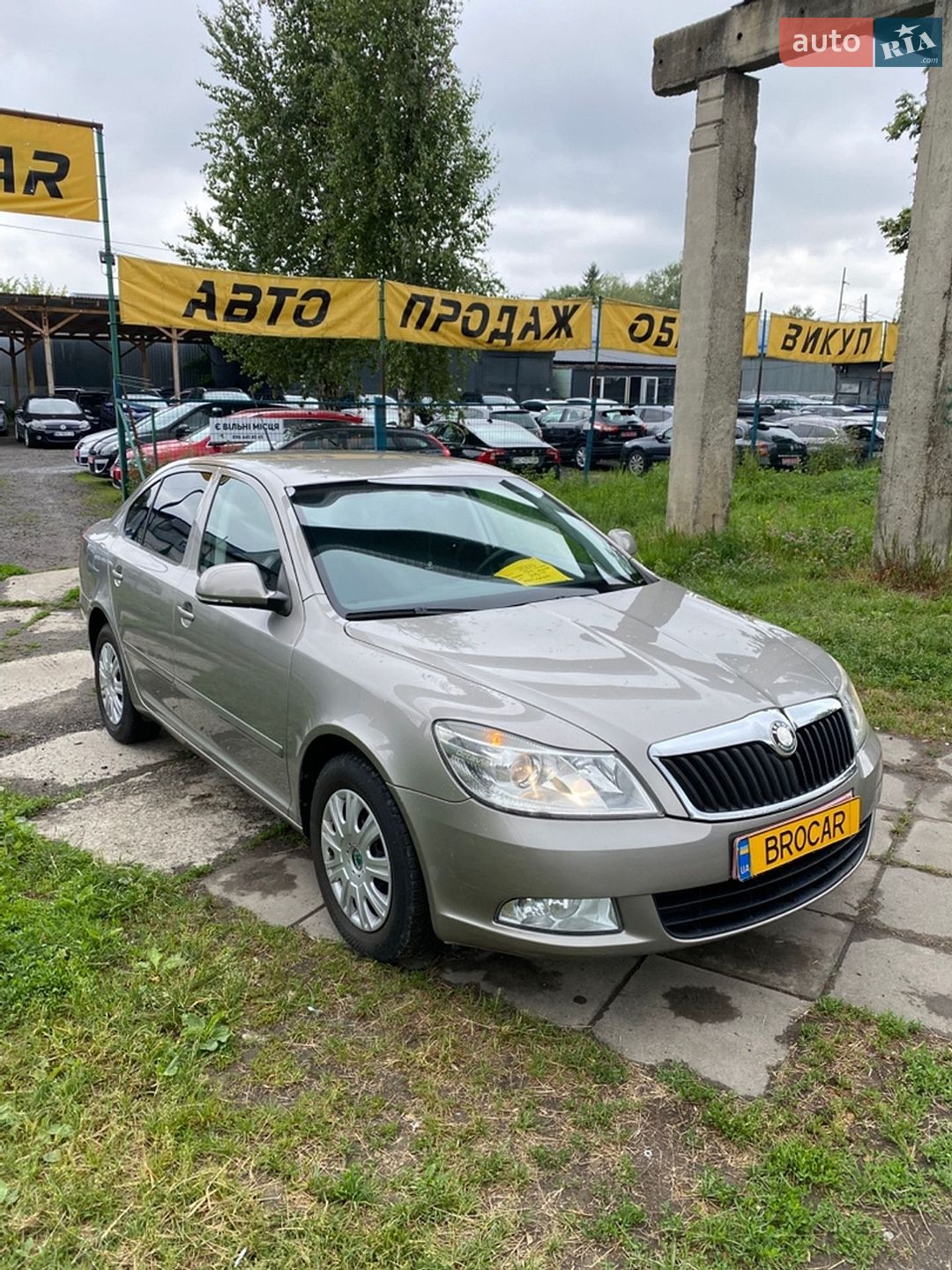 Skoda Octavia 2009 VIN TMBCJ61Z092037089 фото оголошення 7 з 18