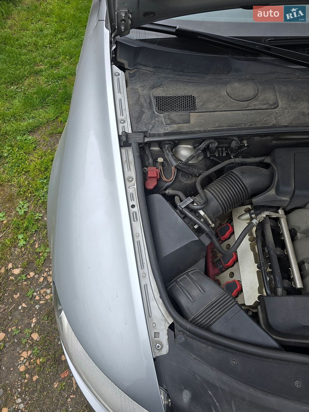 Audi A6 2005 VIN WAUZZZ4F16N073824 фото оголошення 10 з 22