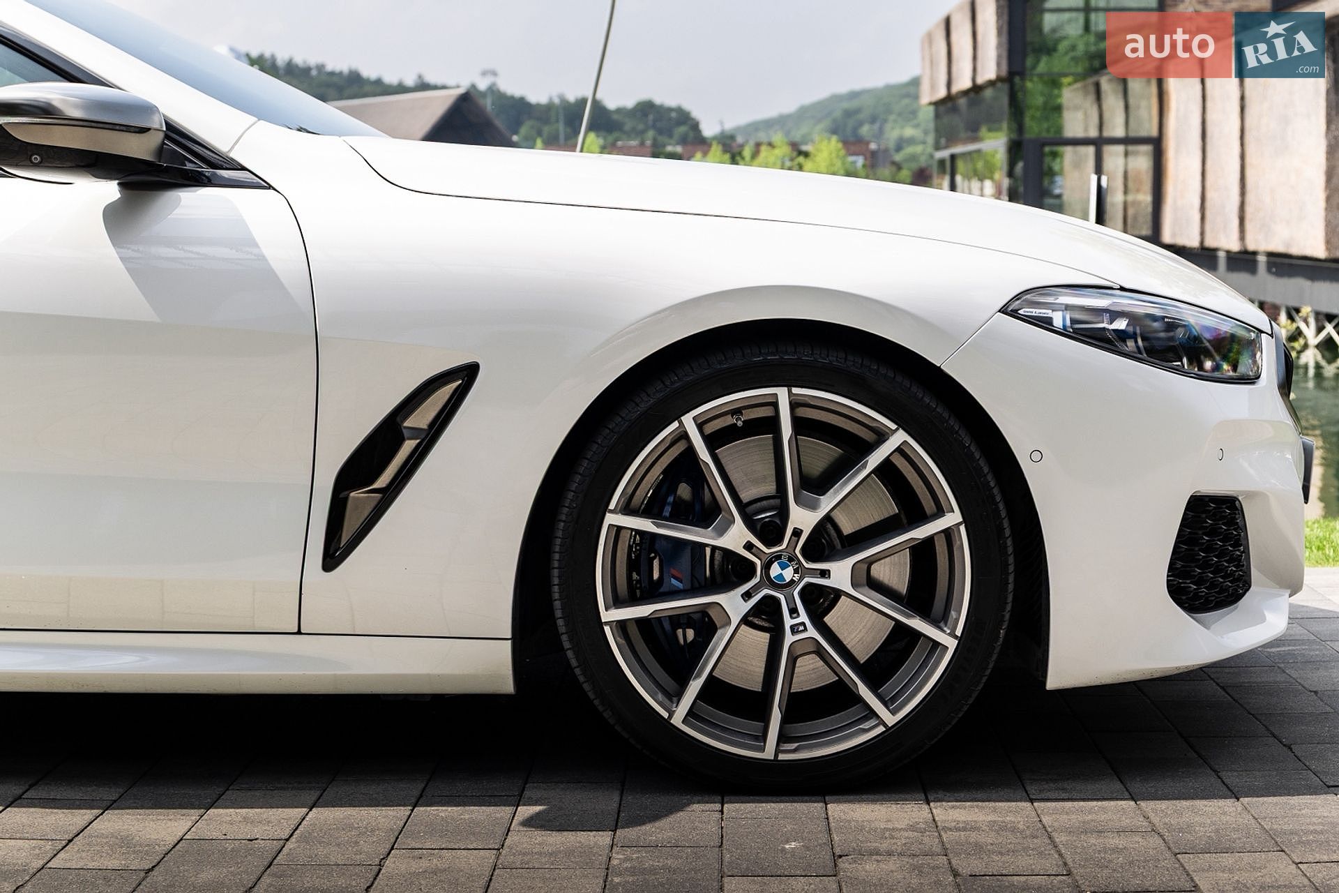 BMW 8 Series Gran Coupe 2019 VIN WBAGV8C08LBP49046 фото оголошення 18 з 31