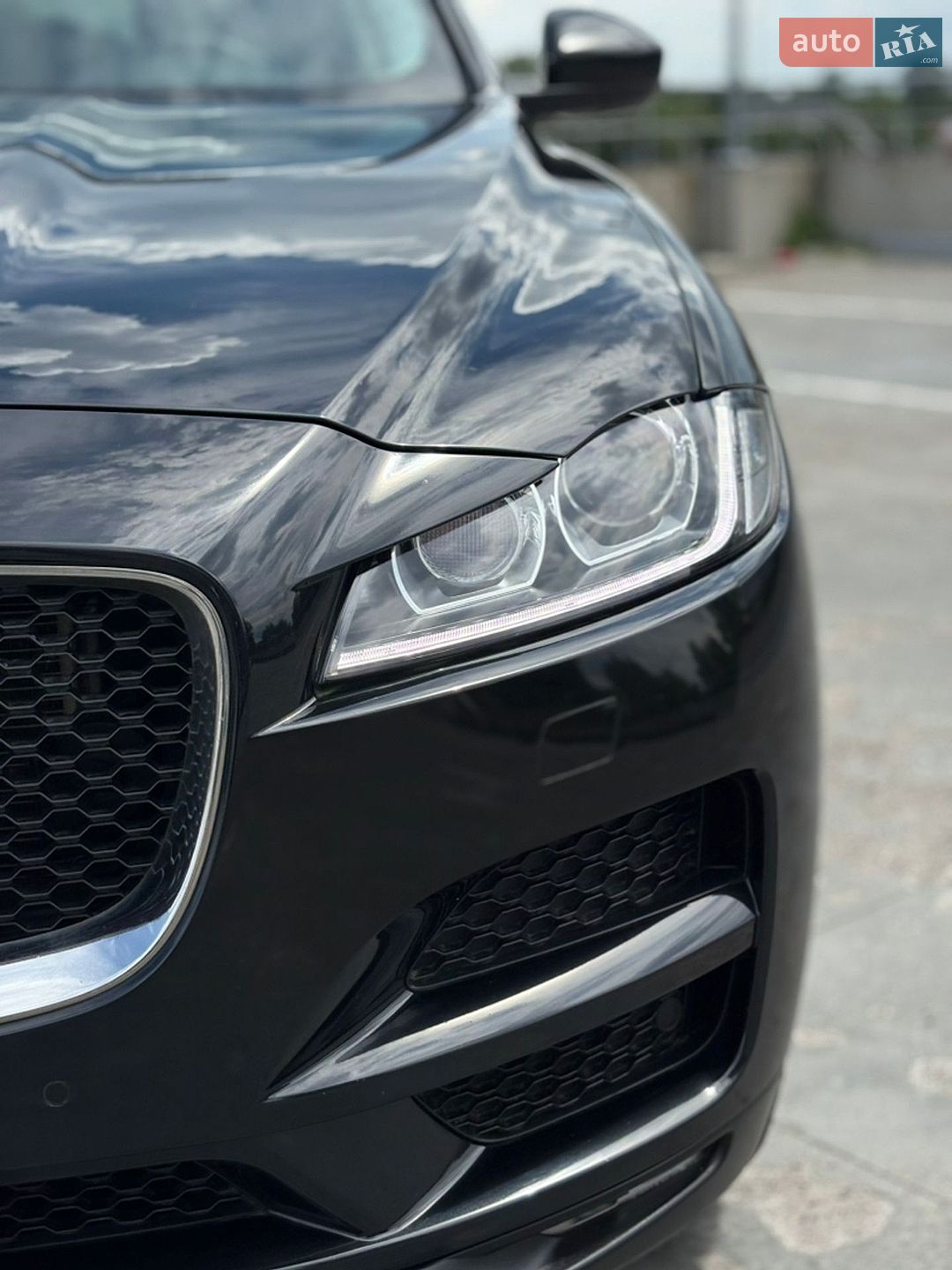 Jaguar F-Pace 2016 VIN SADCA2BN7HA496567 фото оголошення 34 з 77