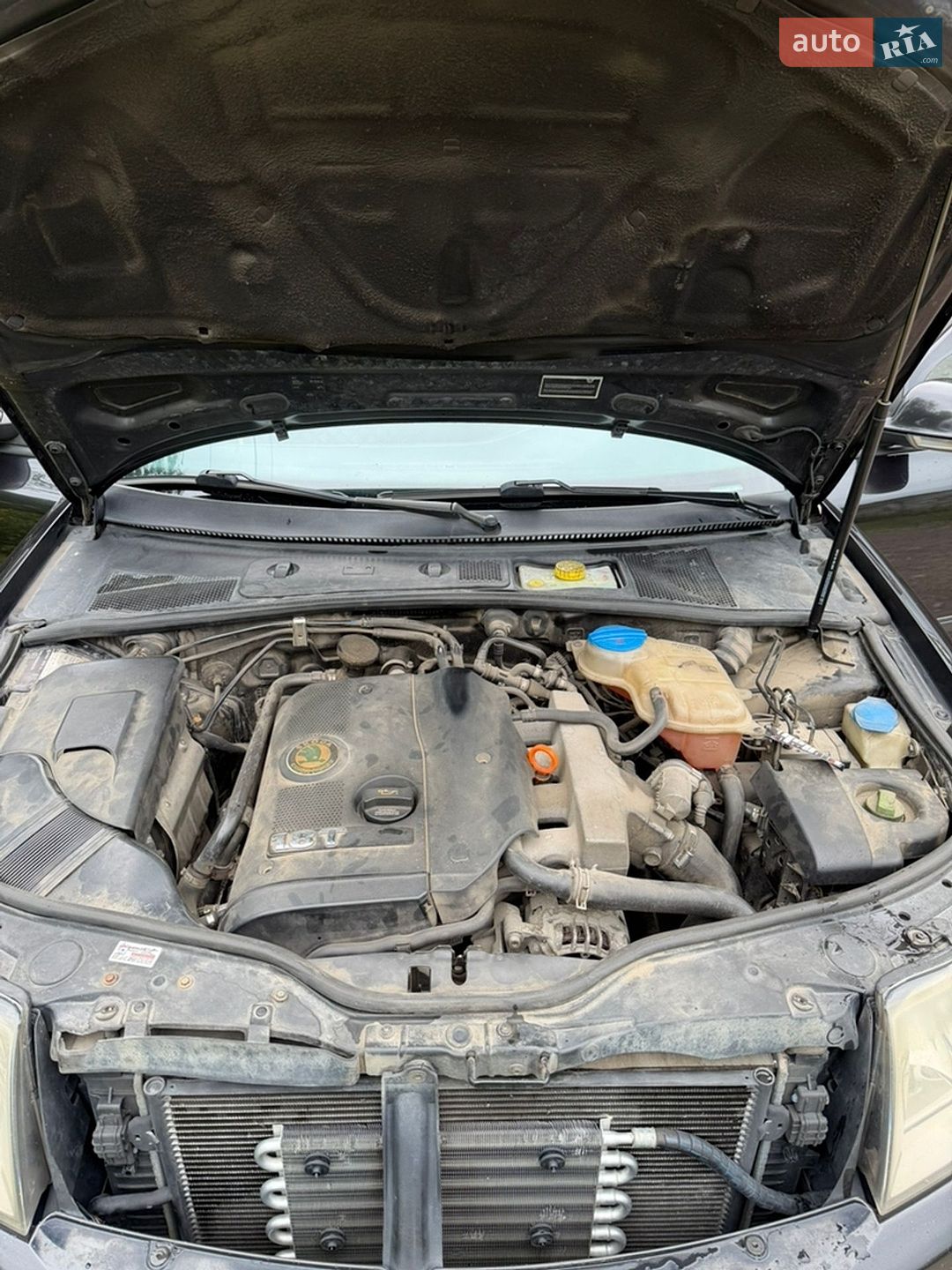 Skoda Superb 2008 VIN TMBDL23U48B302328 фото оголошення 14 з 16