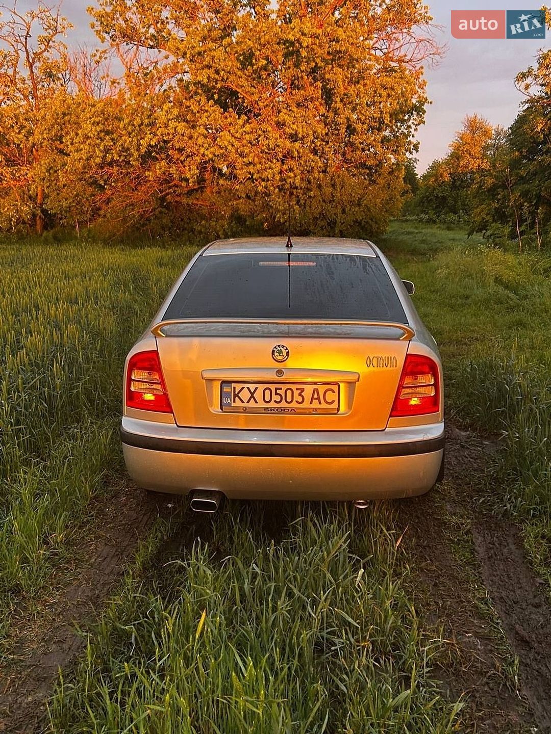 Skoda Octavia 2007 VIN TMBDL41U48B008054 фото оголошення 10 з 11