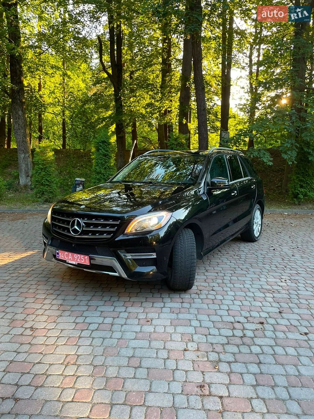 Mercedes-Benz M-Class 2014 VIN 4JGDA2EB1EA379186 фото оголошення 8 з 37