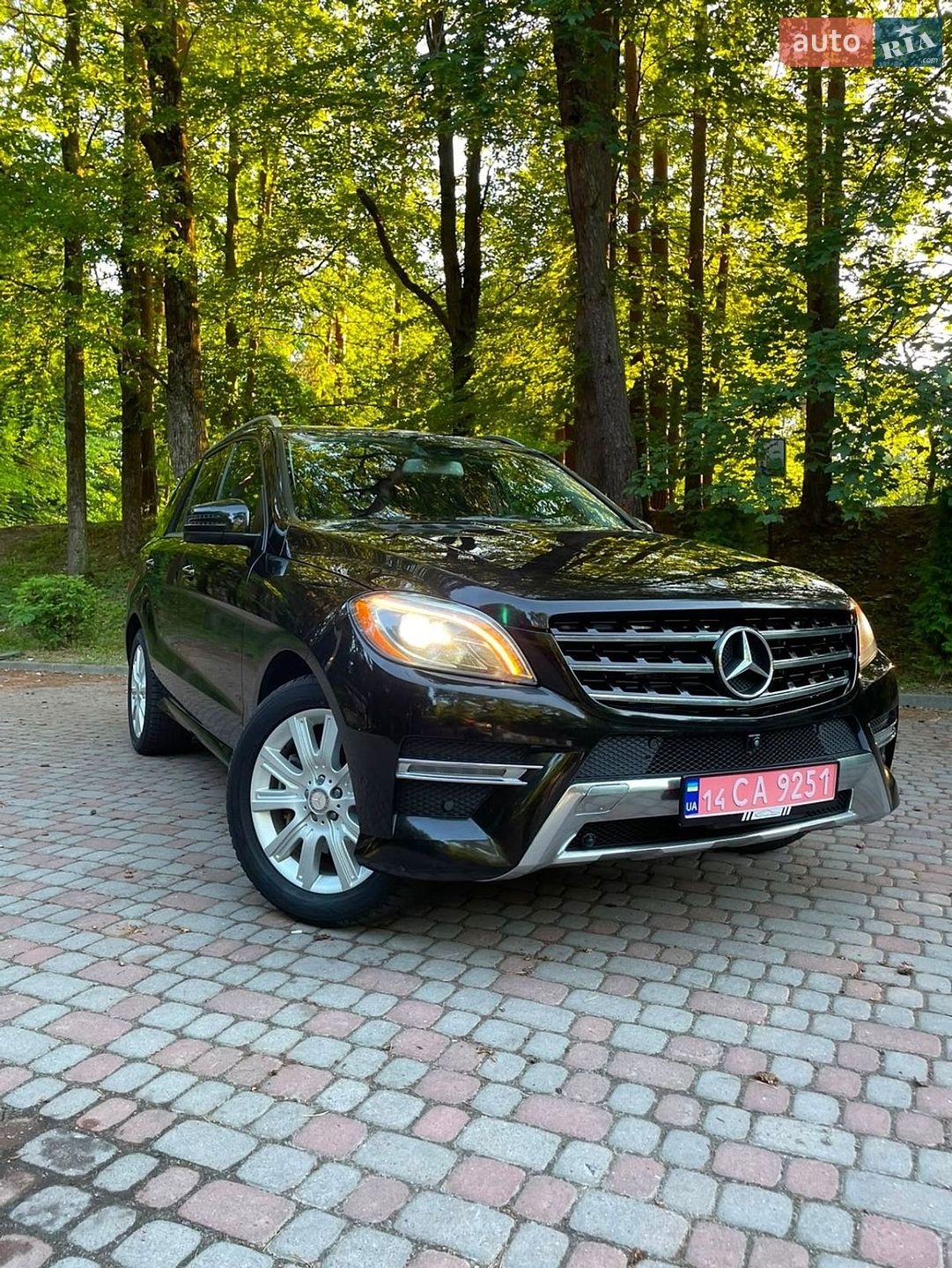 Mercedes-Benz M-Class 2014 VIN 4JGDA2EB1EA379186 фото оголошення 16 з 37