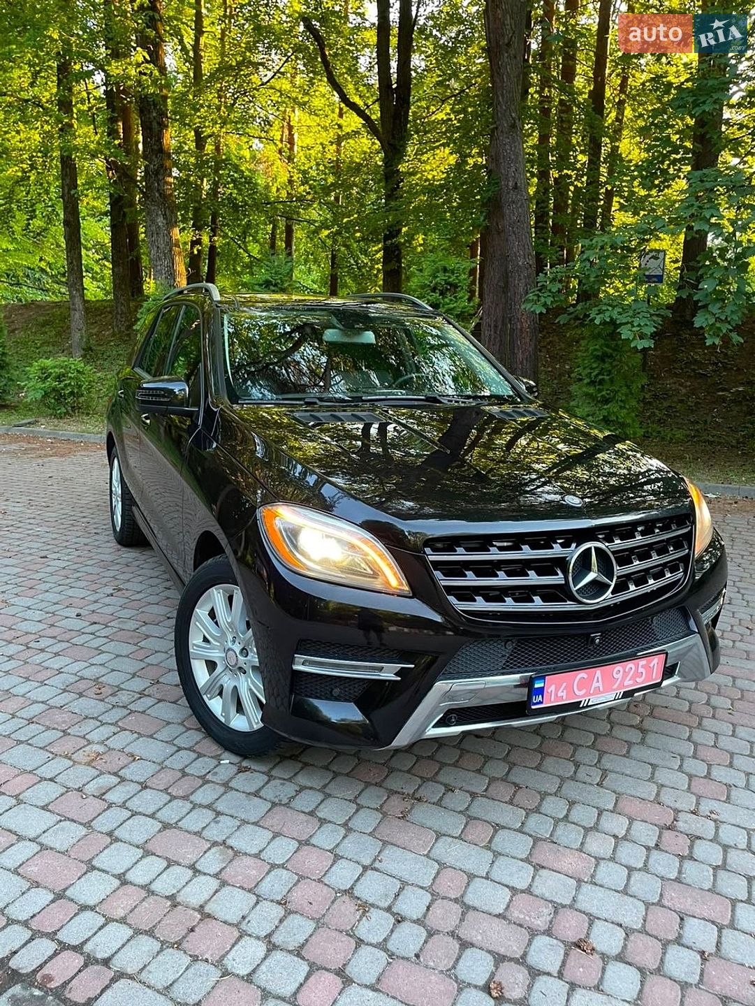 Mercedes-Benz M-Class 2014 VIN 4JGDA2EB1EA379186 фото оголошення 18 з 37