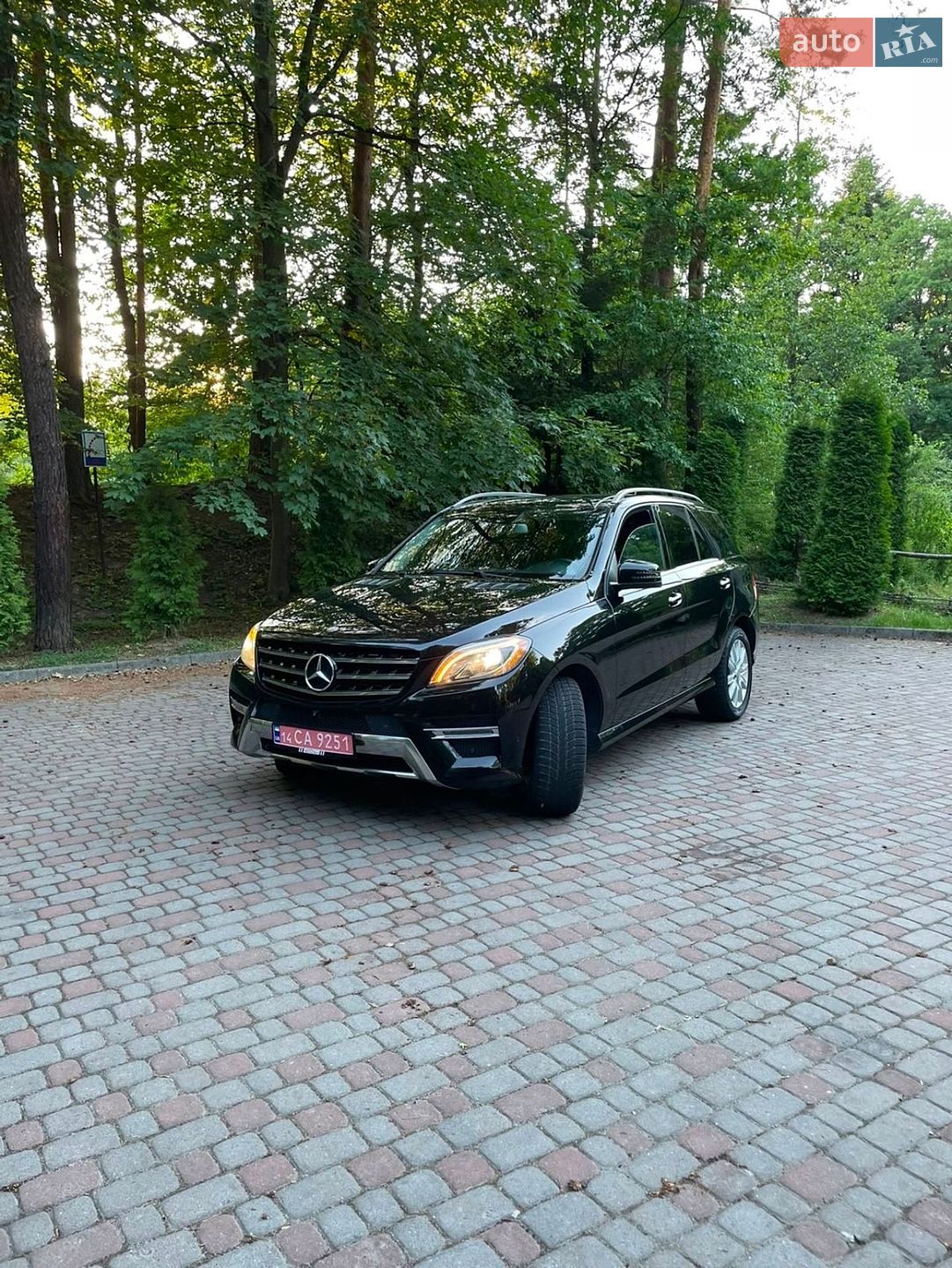 Mercedes-Benz M-Class 2014 VIN 4JGDA2EB1EA379186 фото оголошення 20 з 37