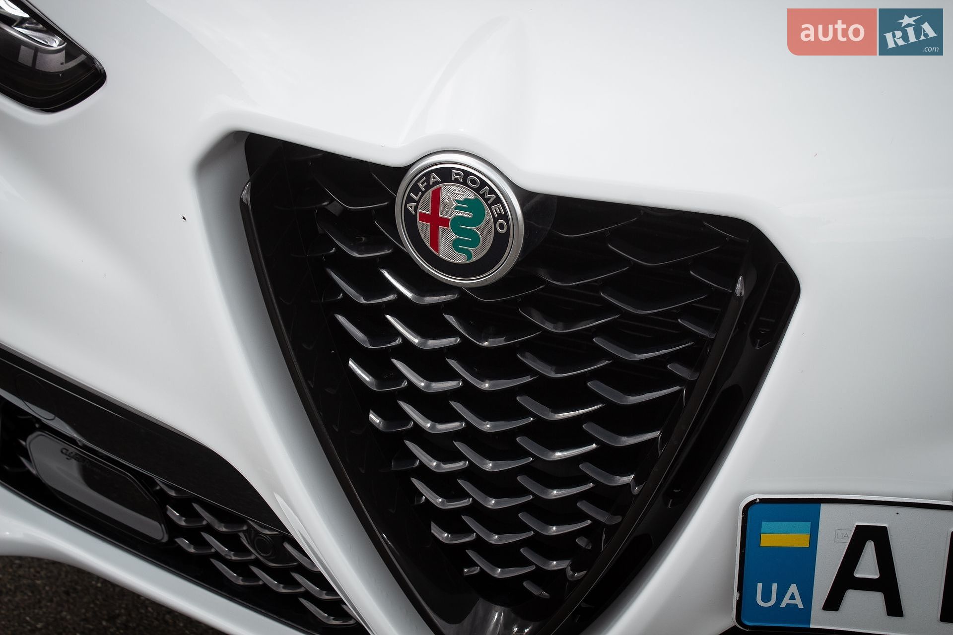 Alfa Romeo Stelvio 2021 VIN ZASPAKBN6M7D14076 фото оголошення 44 з 48