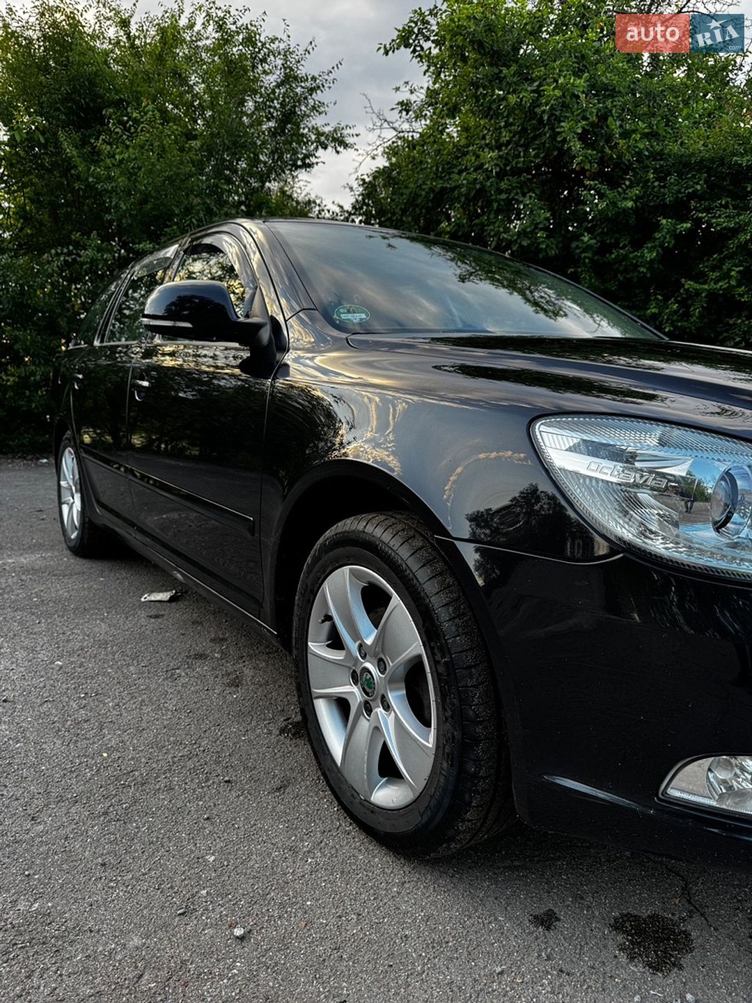 Skoda Octavia 2009 VIN TMBGK61Z5A2024809 фото оголошення 5 з 15