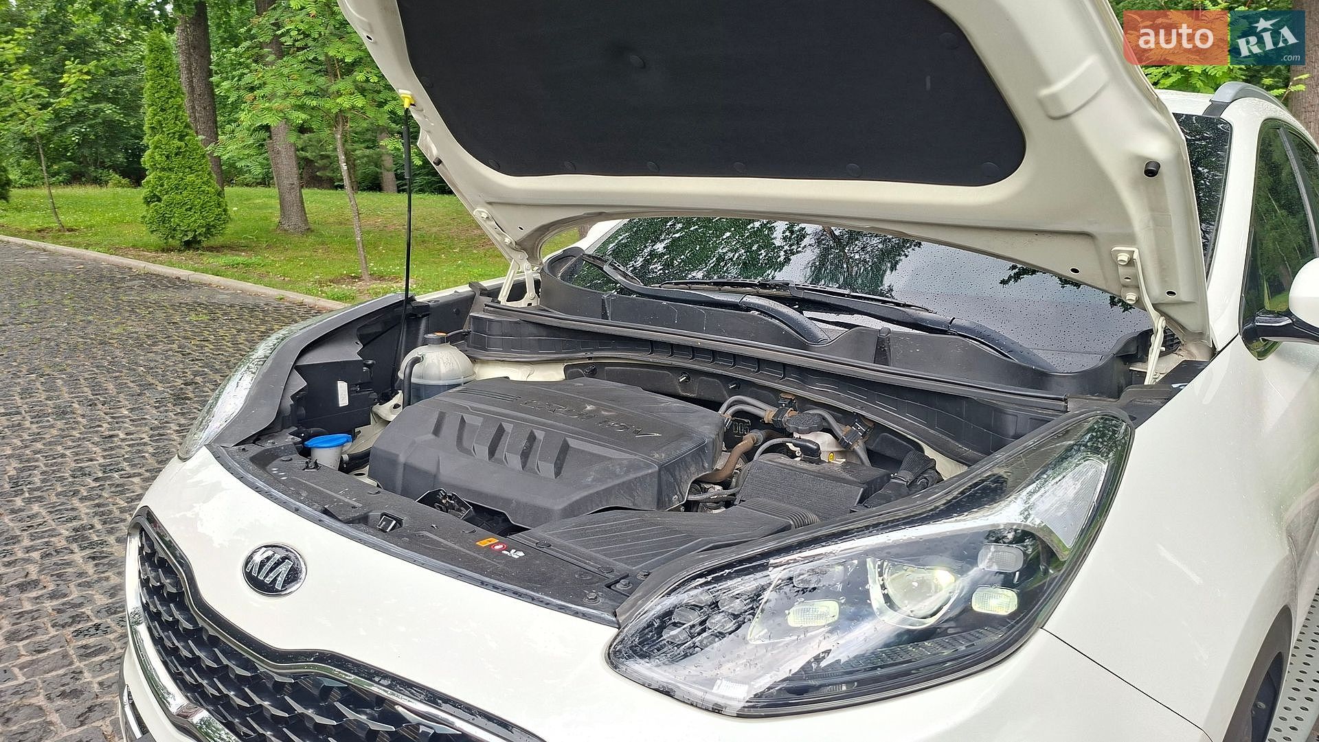 Kia Sportage 2020 VIN KNAPR813BLK837602 фото оголошення 38 з 92