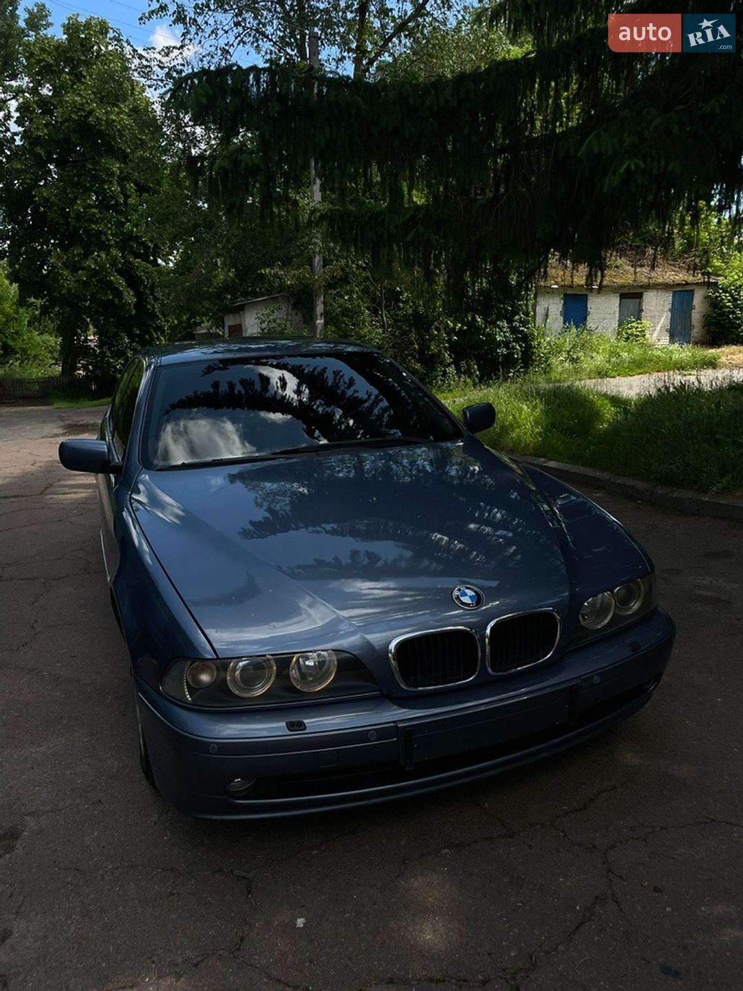 BMW 5 Series 2002 VIN WBADT11040GY59559 фото оголошення 35 з 35