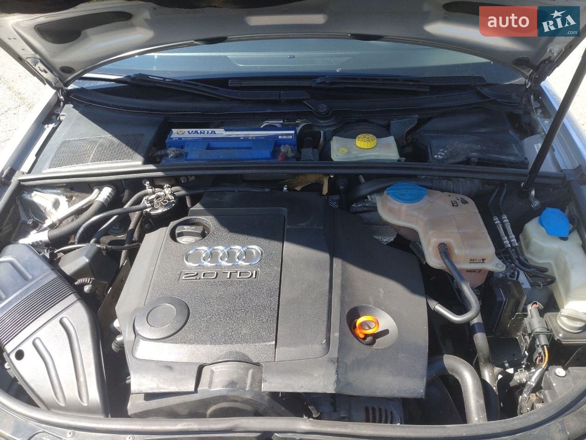 Audi A4 2005 VIN WAUZZZ8E86A125572 фото оголошення 31 з 36