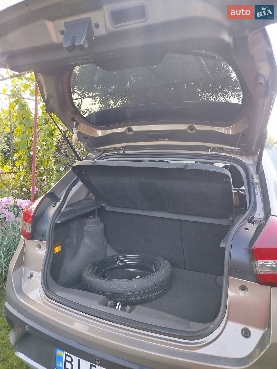 Chery Tiggo 2 2019 VIN LVVDB11BXLE004815 фото оголошення 6 з 6