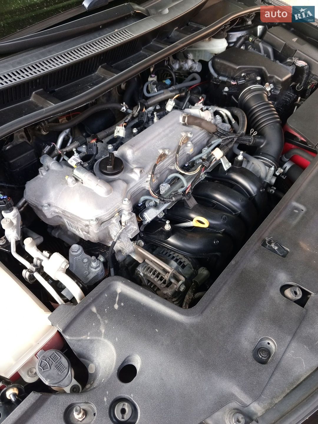 Toyota Corolla 2008 VIN JTNBV56EX03523188 фото оголошення 19 з 39