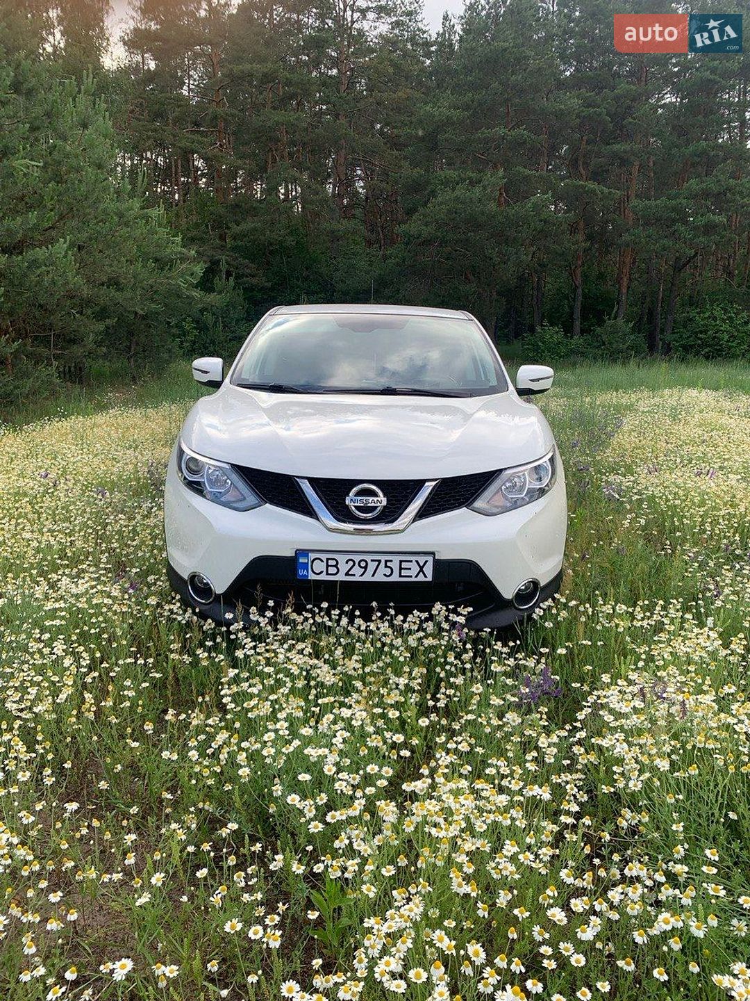Nissan Qashqai 2016 VIN SJNFDNJ11U1670456 фото оголошення 18 з 19