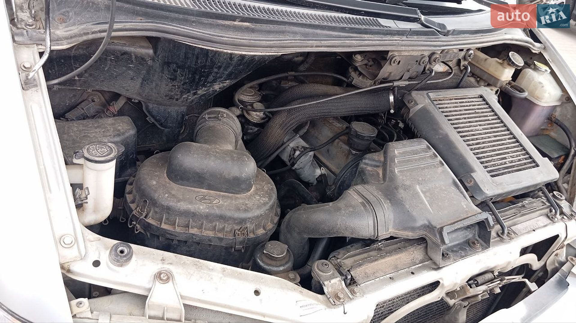 Hyundai H 200 2000 VIN KMJWVH7HPYU228757 фото оголошення 12 з 14