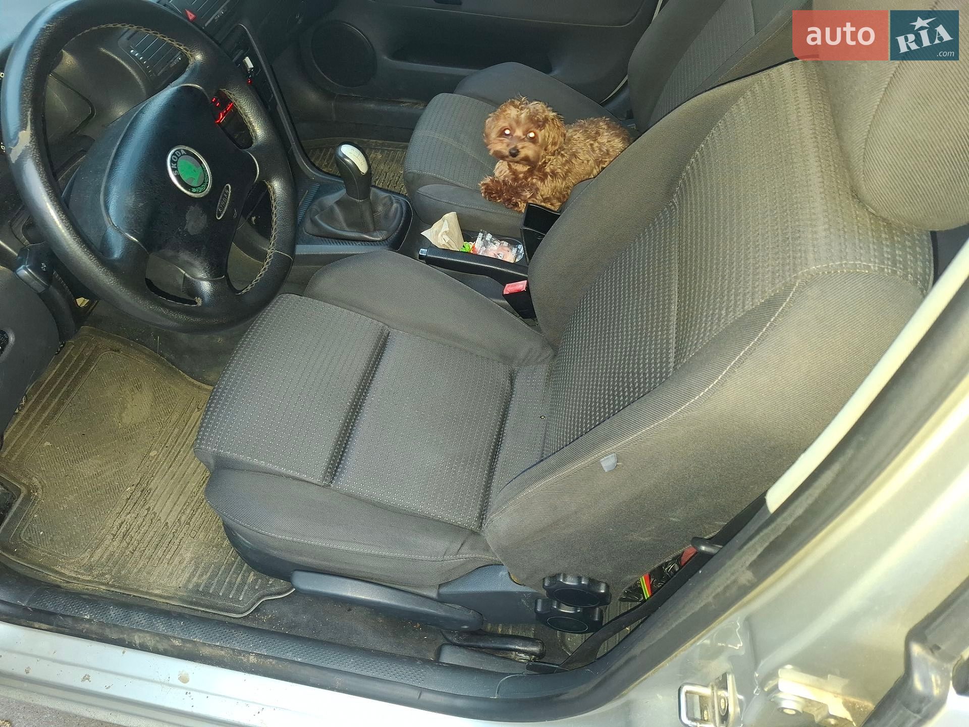 Skoda Superb 2005 VIN TMBDL23UX6B046922 фото оголошення 59 з 75