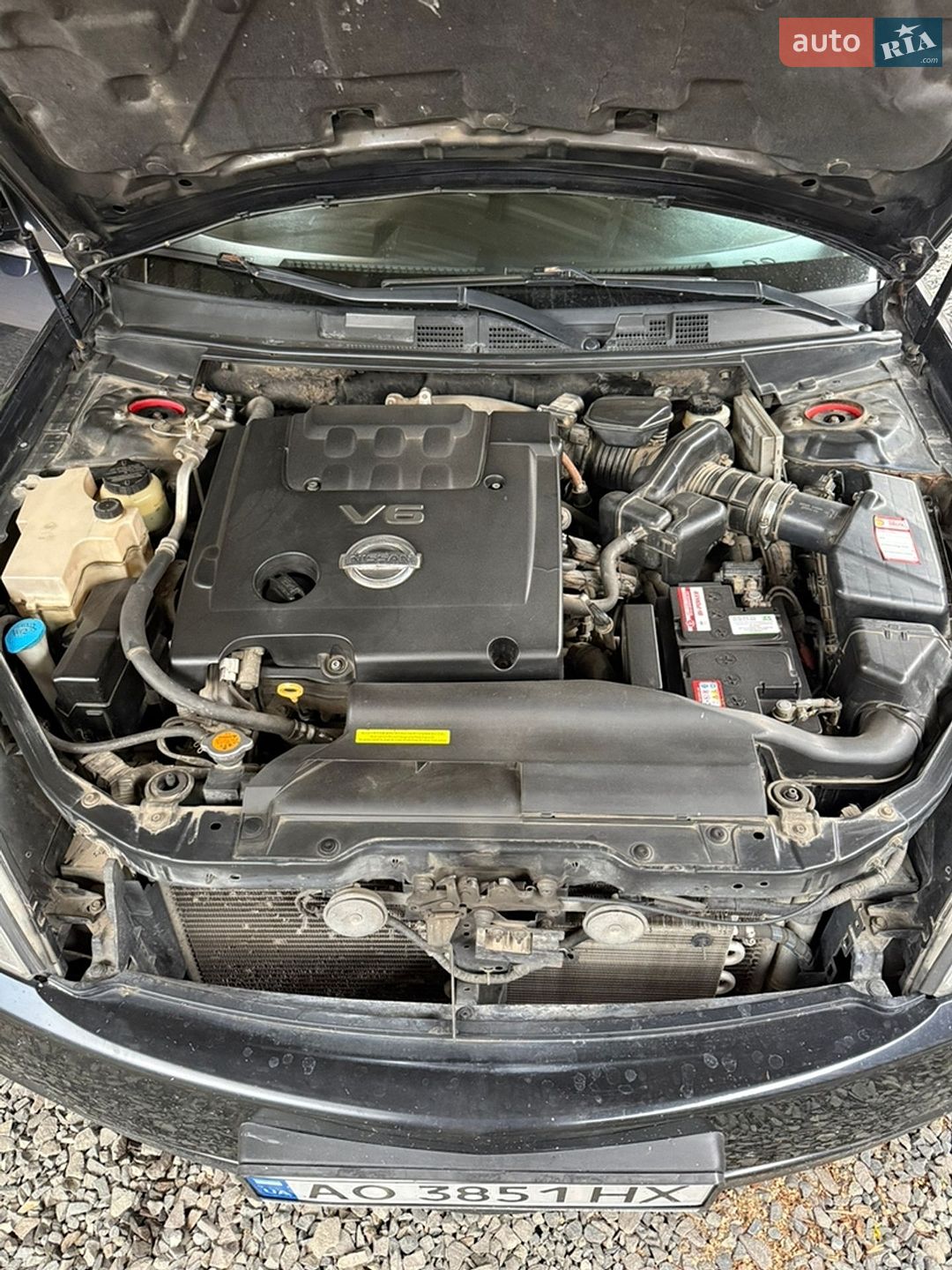 Nissan Teana 2006 VIN JN1BAUJ31U0000135 фото оголошення 9 з 9