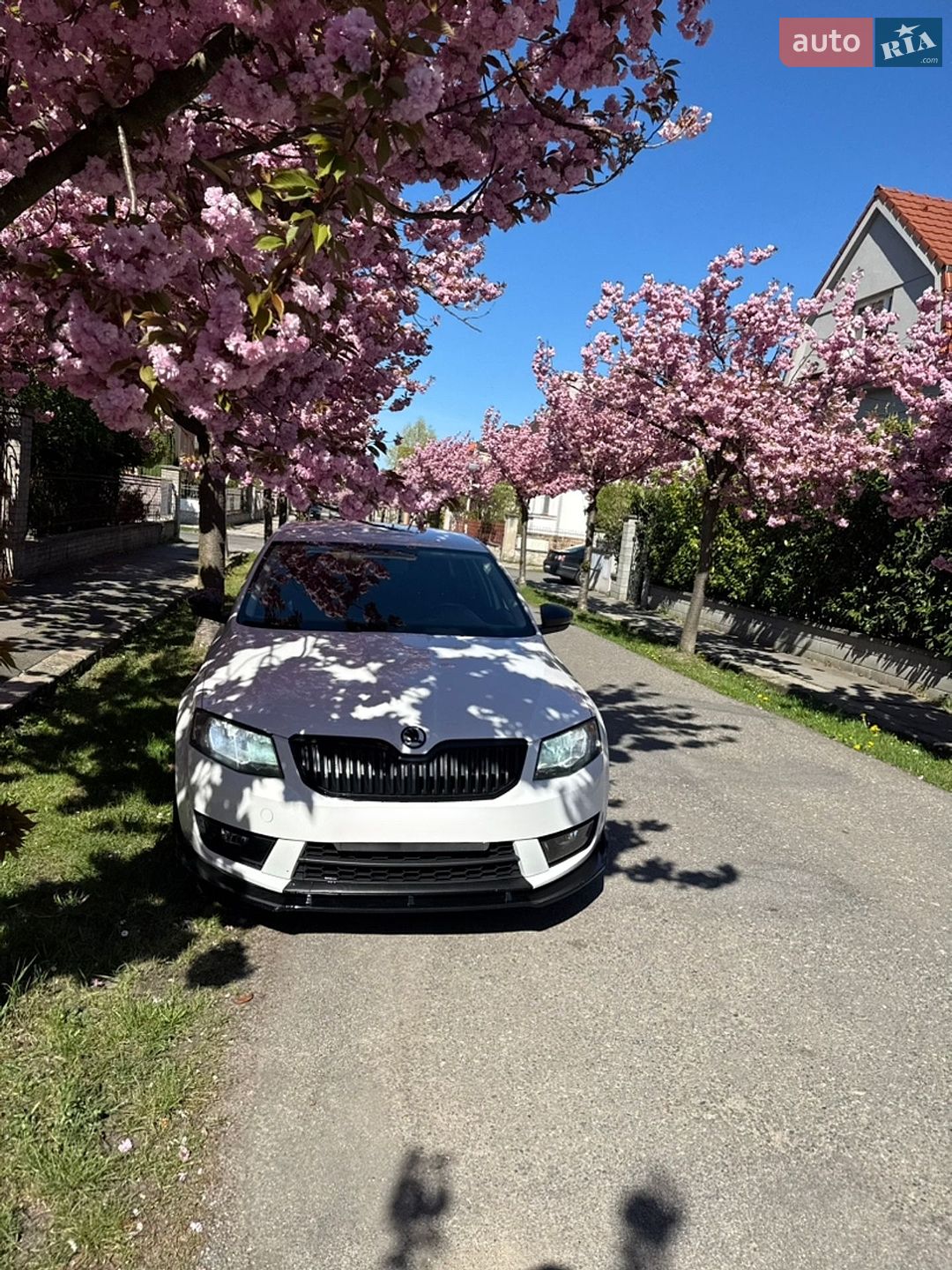 Skoda Octavia 2013 VIN TMBJG7NE4E0040490 фото оголошення 17 з 17