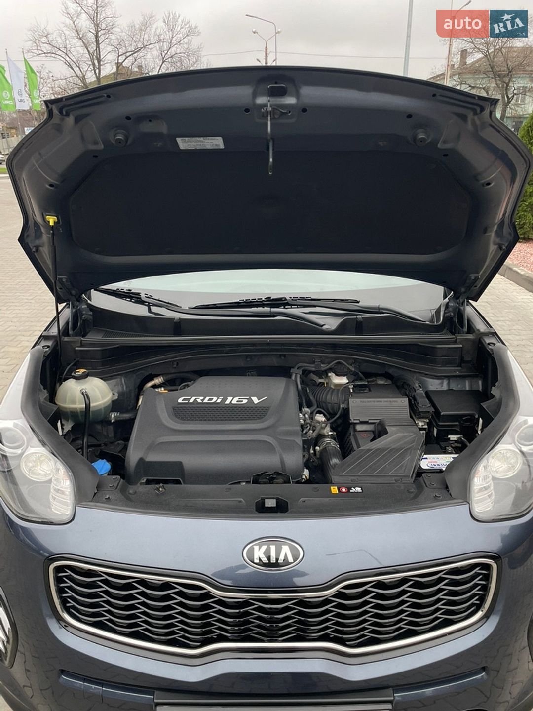 Kia Sportage 2016 VIN KNAPM813BGK125071 фото оголошення 12 з 12