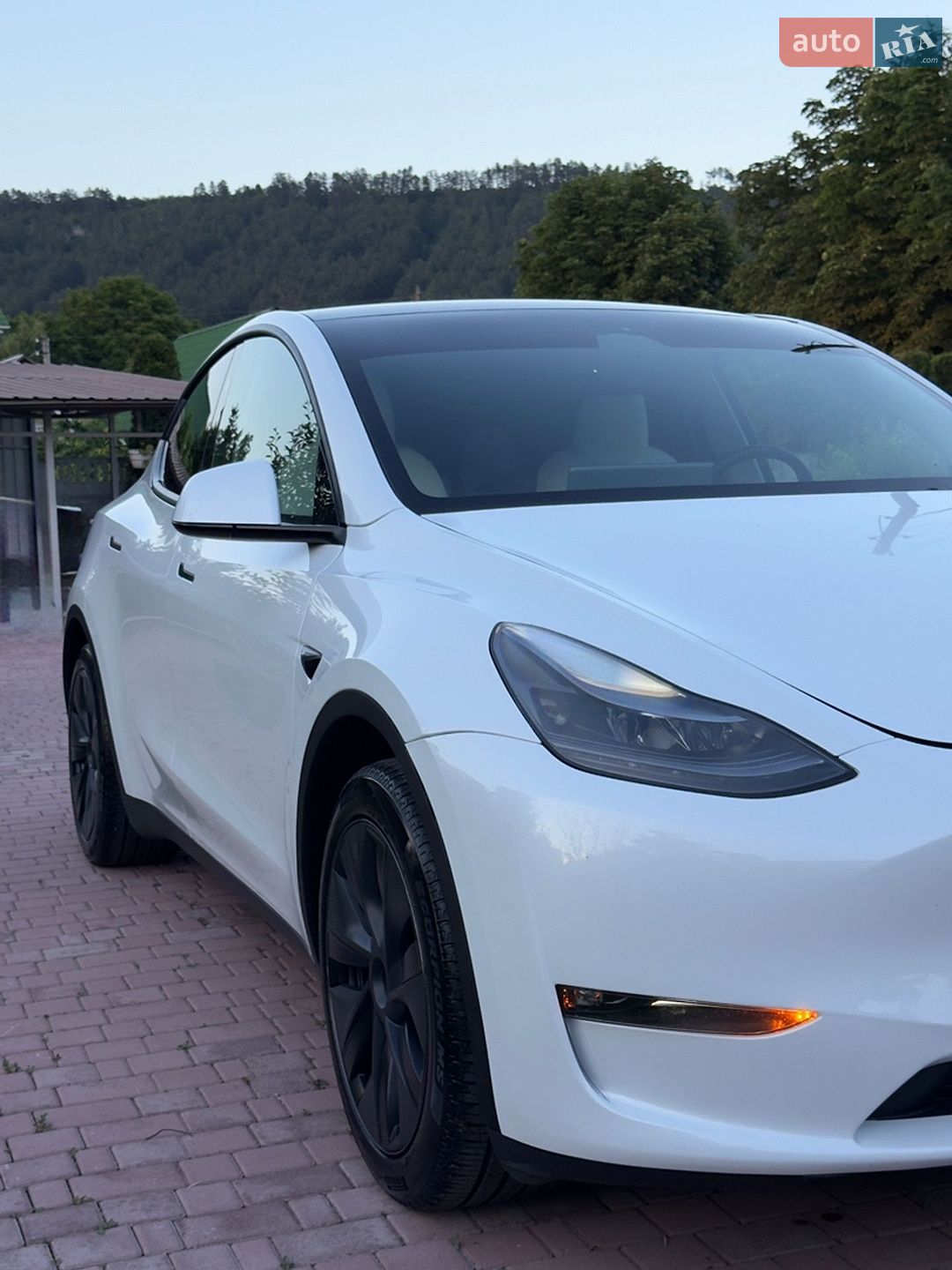 Tesla Model Y 2024 VIN 7SAYGDED2RF077262 фото оголошення 5 з 20