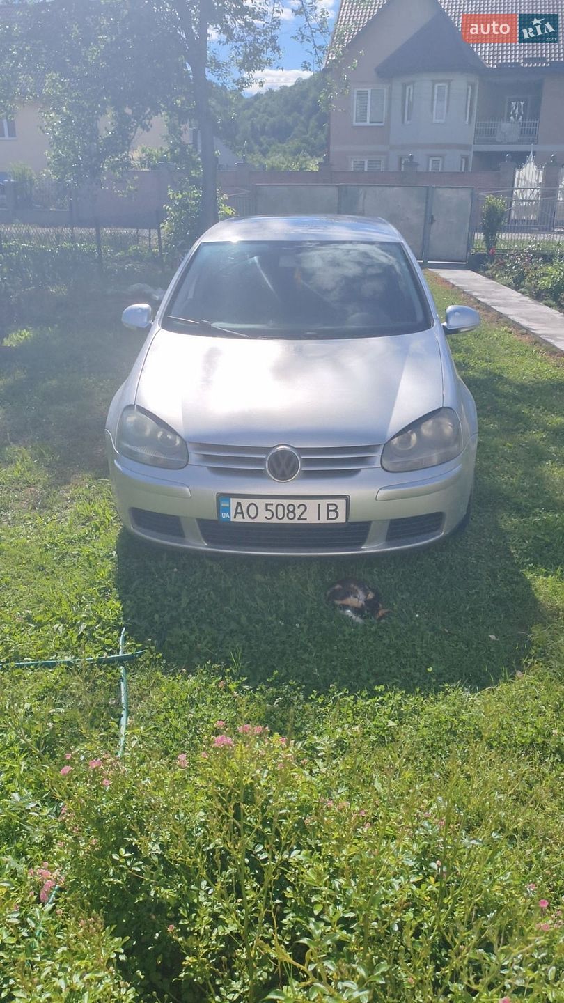Volkswagen Golf 2004 VIN WVWZZZ1KZ4B090954 фото оголошення 7 з 8