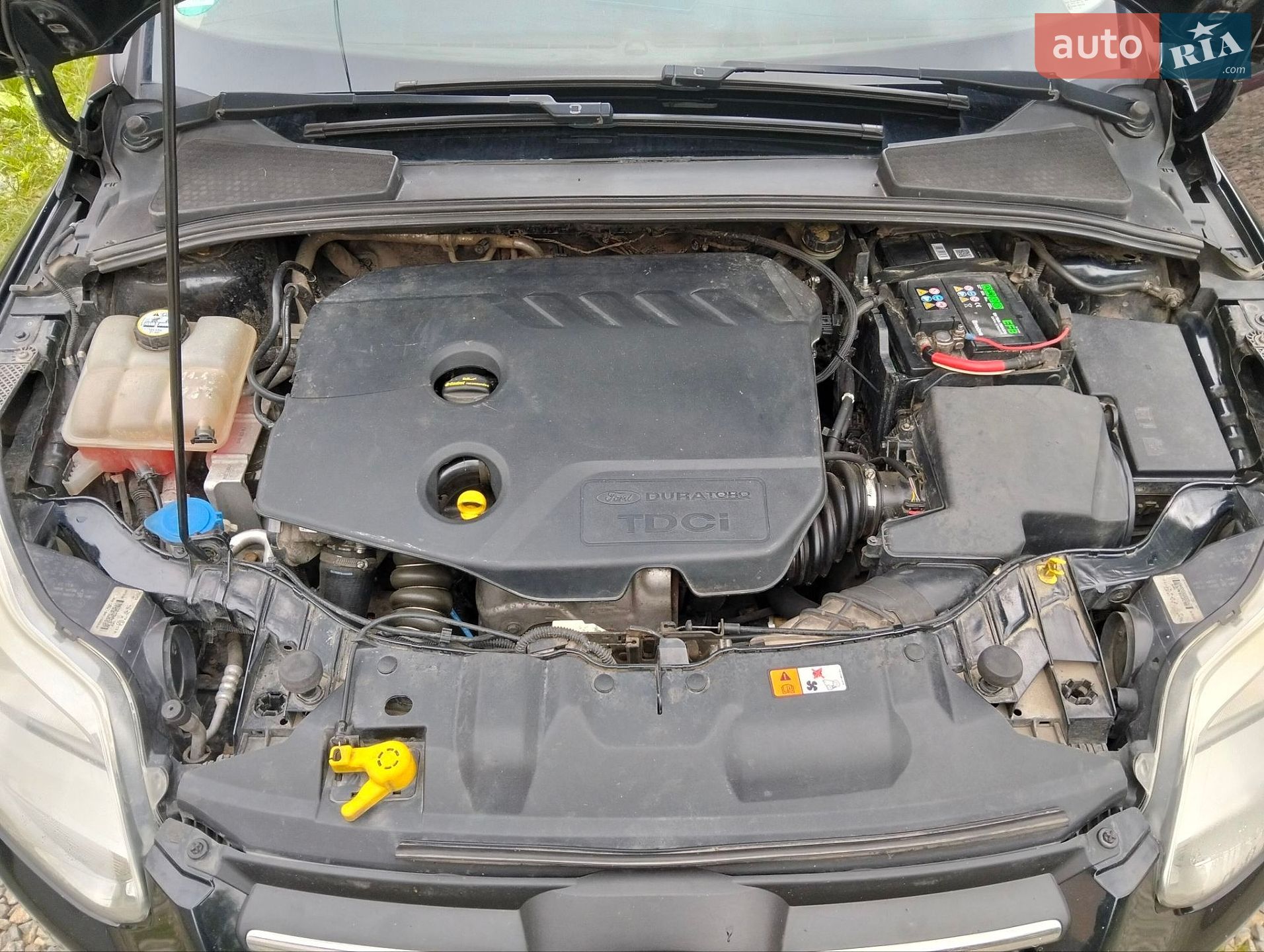 Ford Focus 2011 VIN WF0LXXGCBLBE50326 фото оголошення 12 з 13