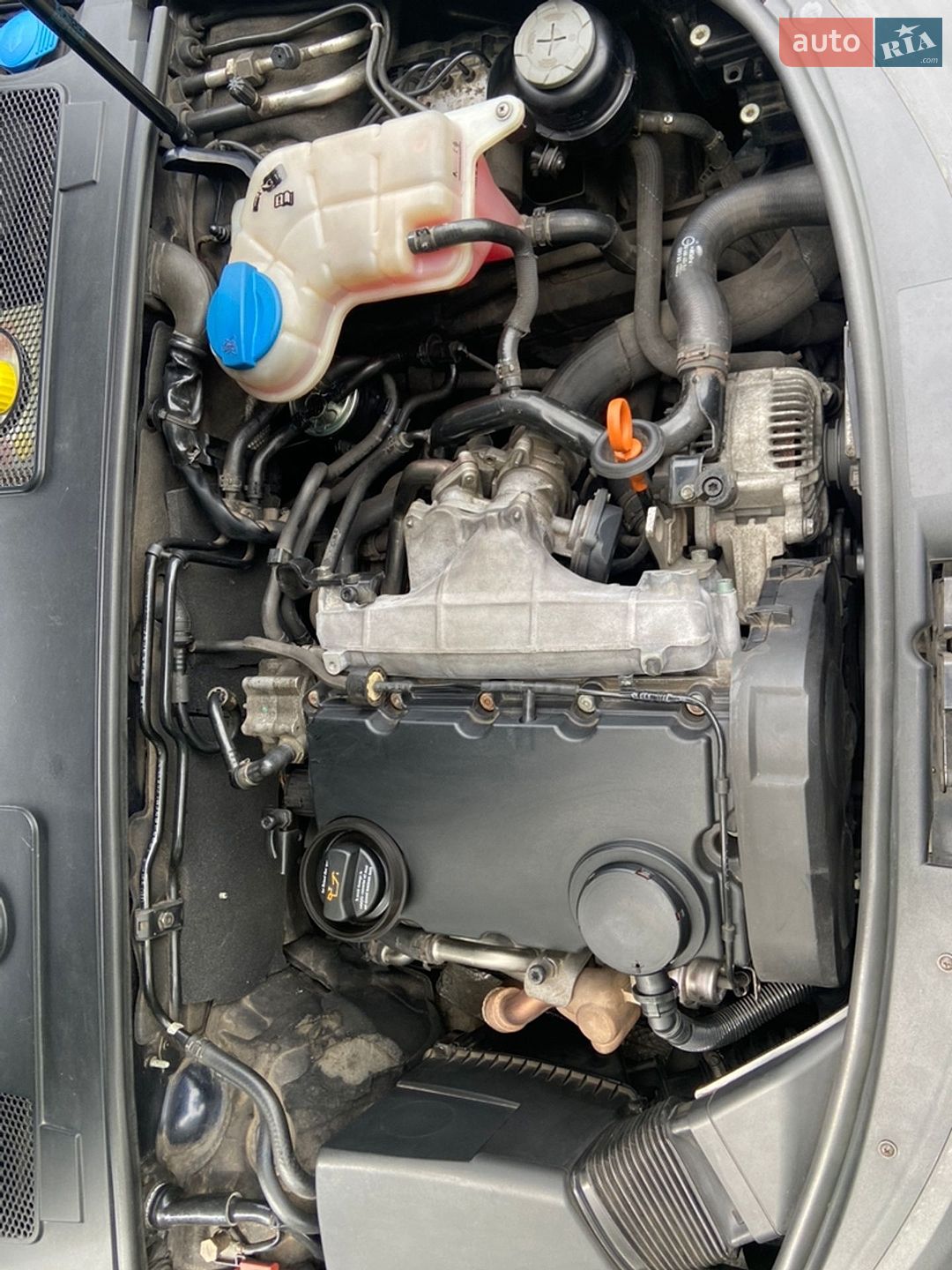 Audi A6 2005 VIN WAUZZZ4F75N101527 фото оголошення 39 з 81