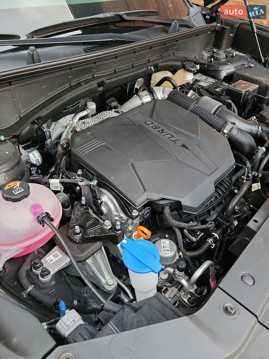 Hyundai Santa FE 2024 VIN 5NMP5DGL8SH095594 фото оголошення 95 з 95