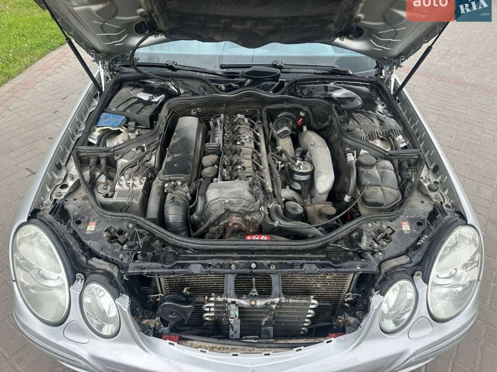 Mercedes-Benz E-Class 2005 VIN WDB2112261A781892 фото оголошення 7 з 8