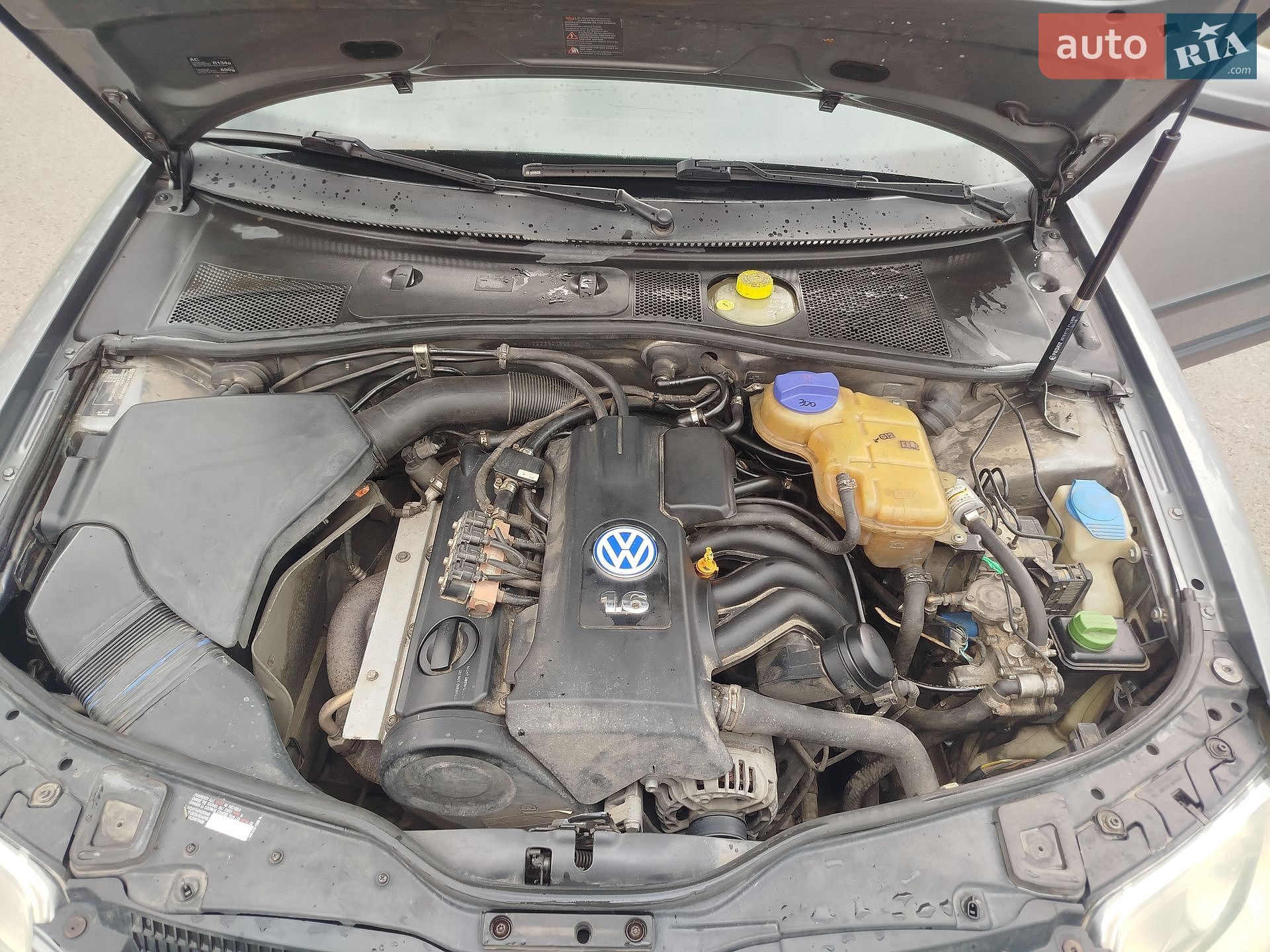 Volkswagen Passat 2000 VIN WVWZZZ3BZ1E081566 фото оголошення 8 з 8