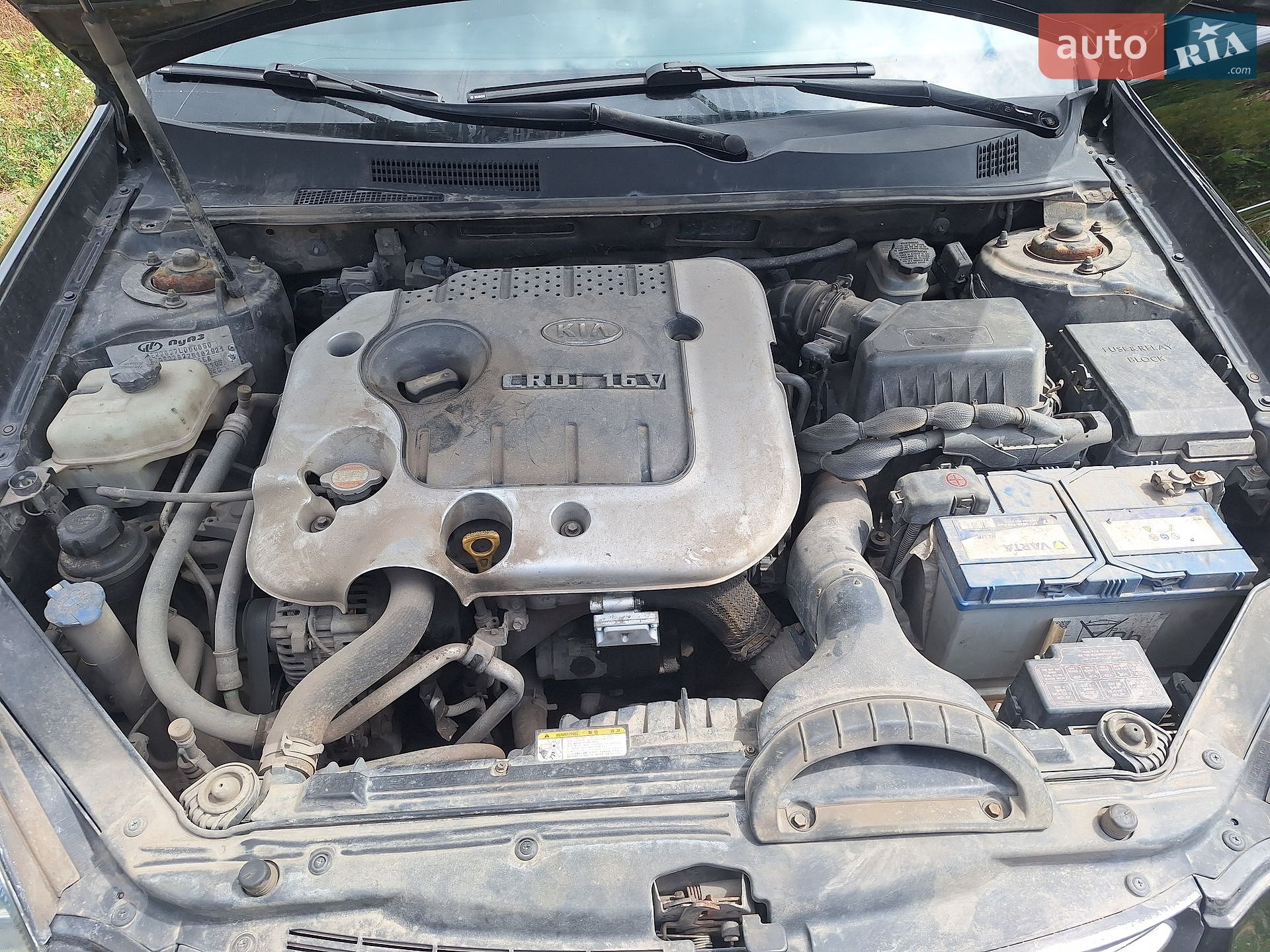 KIA Magentis 2007 VIN Y6LGE22627L000850 фото оголошення 16 з 17