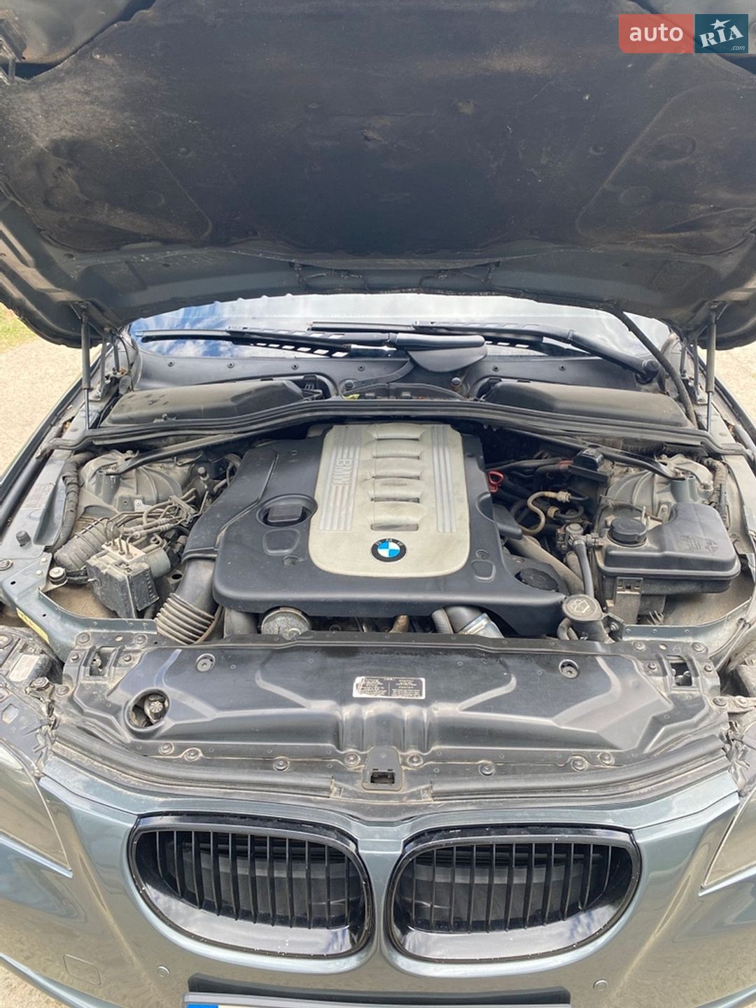 BMW 5 Series 2003 VIN WBANC71050B626469 фото оголошення 23 з 23