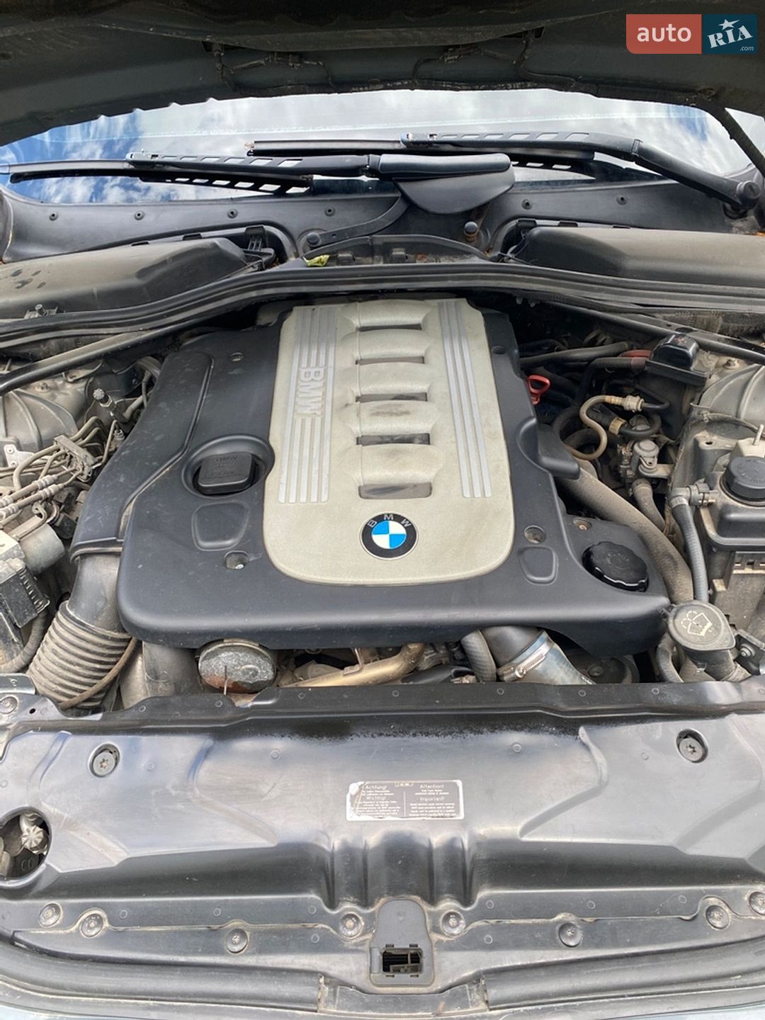BMW 5 Series 2003 VIN WBANC71050B626469 фото оголошення 7 з 23