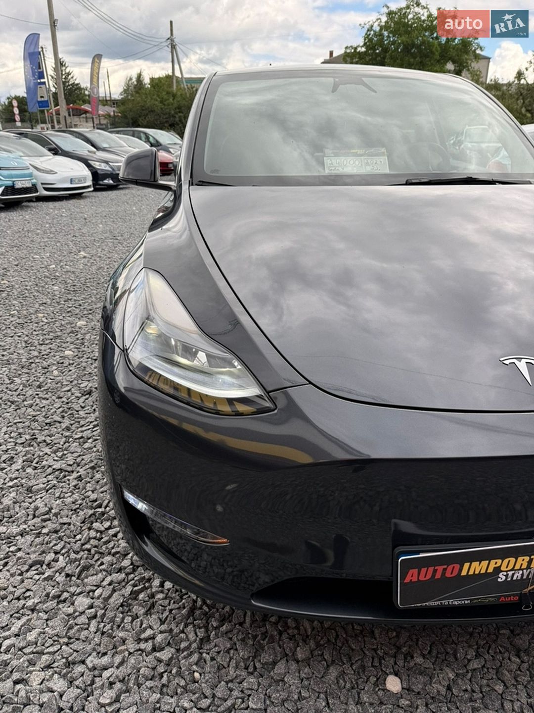 Tesla Model Y 2024 VIN 7SAYGDED3RF044013 фото оголошення 10 з 33