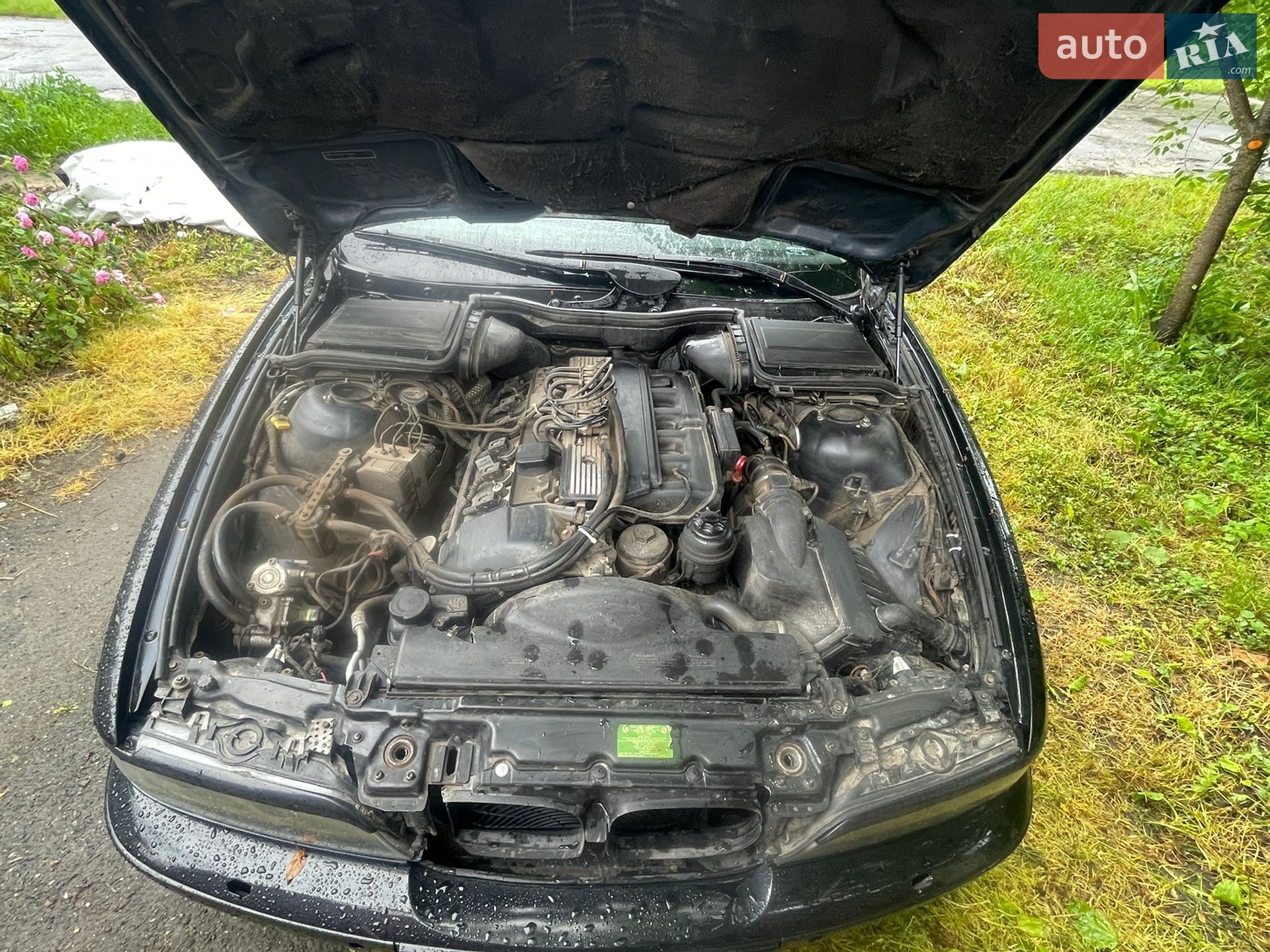 BMW 5 Series 2003 VIN WBADS11060GZ72271 фото оголошення 12 з 12