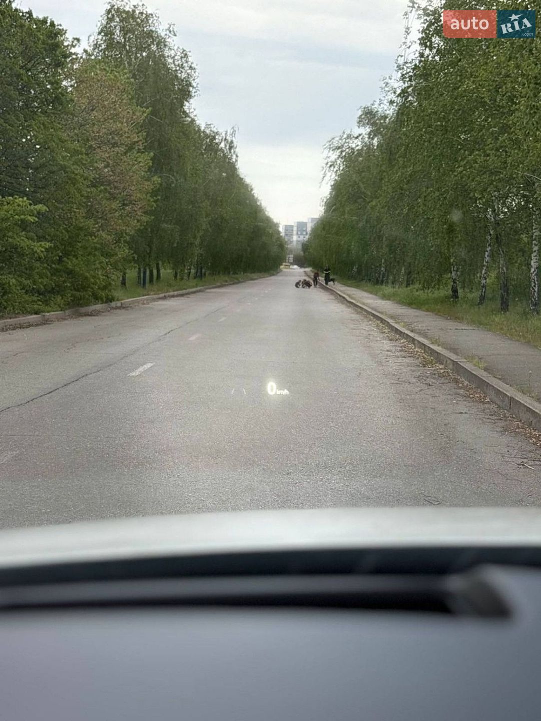 Mazda CX-5 2025 VIN JM3KFBAY2S0595385 фото оголошення 19 з 21