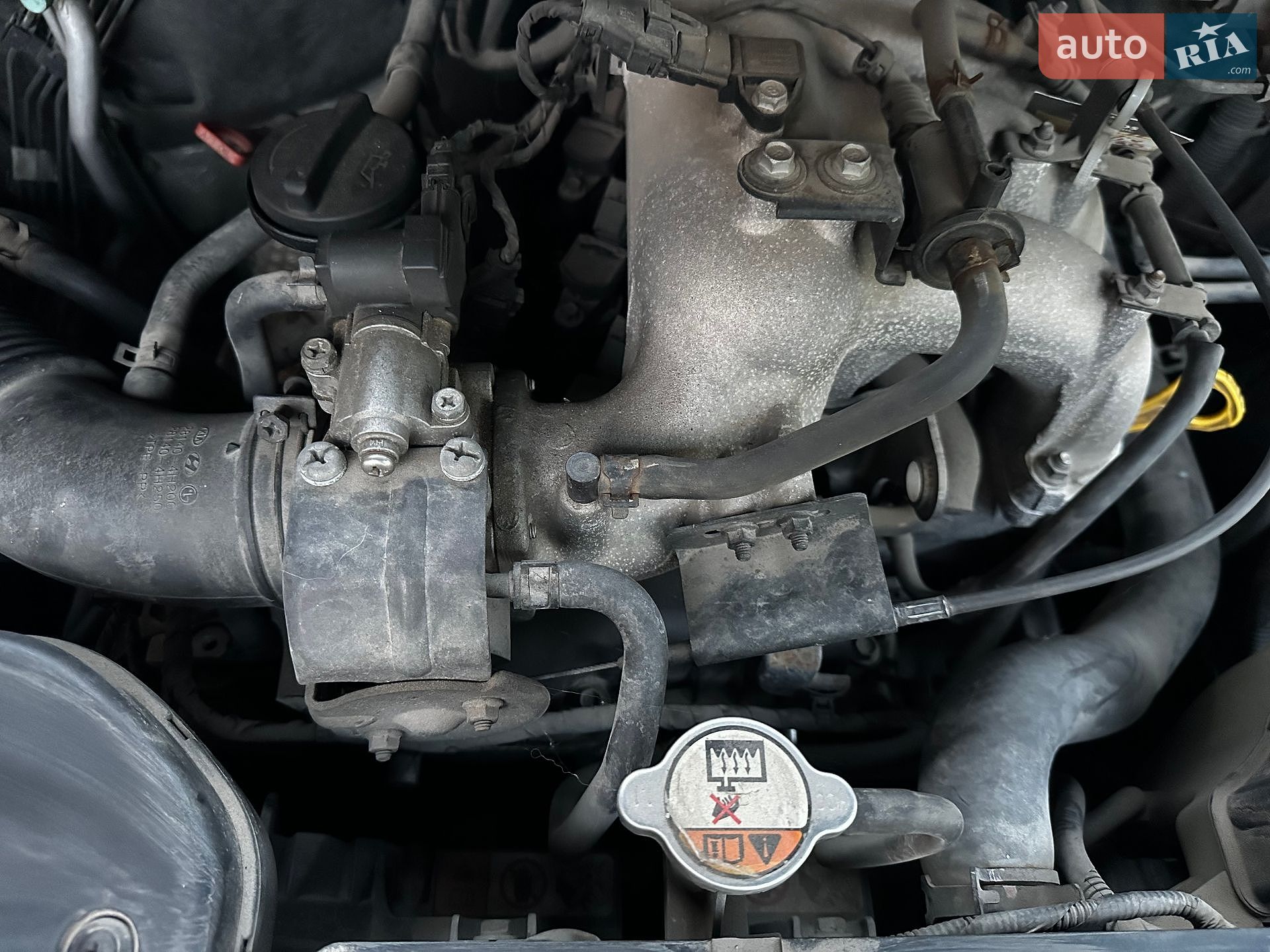 Hyundai H-1 2012 VIN KMHWH81RBDU483079 фото оголошення 20 з 20