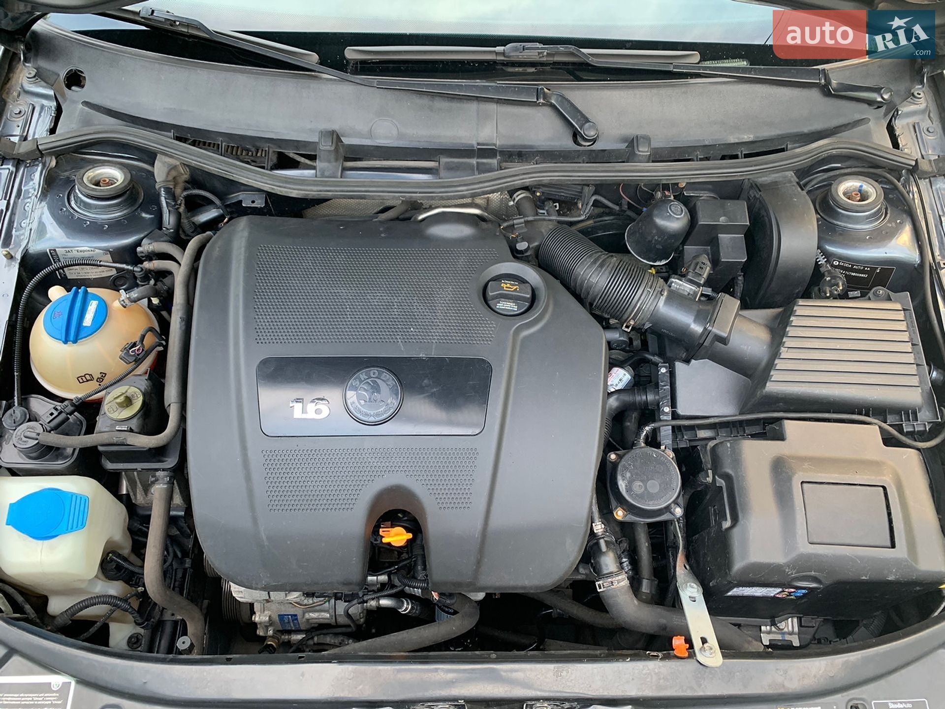 Skoda Octavia 2008 VIN TMBDX41U79B009852 фото оголошення 4 з 7
