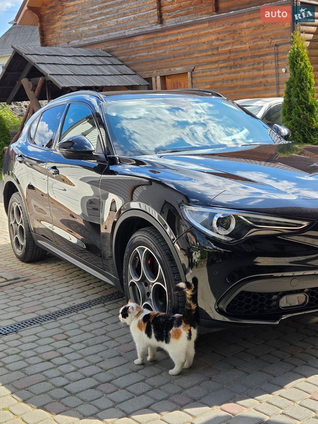 Alfa Romeo Stelvio 2017 VIN ZASFAKNN1J7B79690 фото оголошення 7 з 8