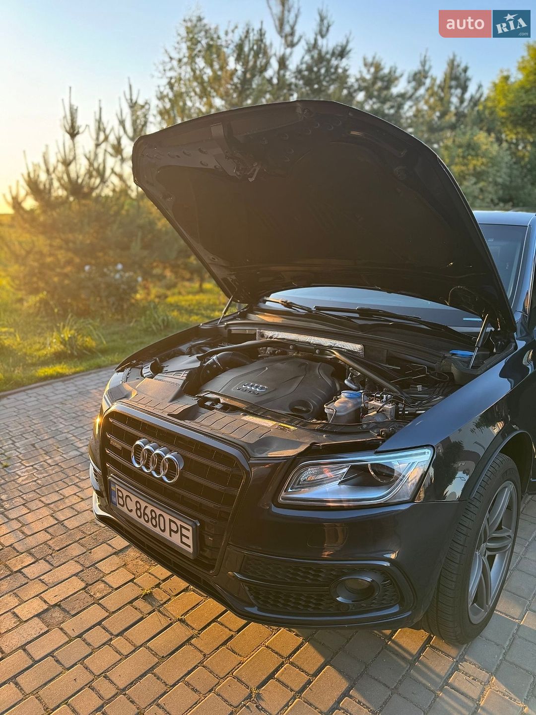 Audi Q5 2014 VIN WA1DMAFP9EA106359 фото оголошення 21 з 21